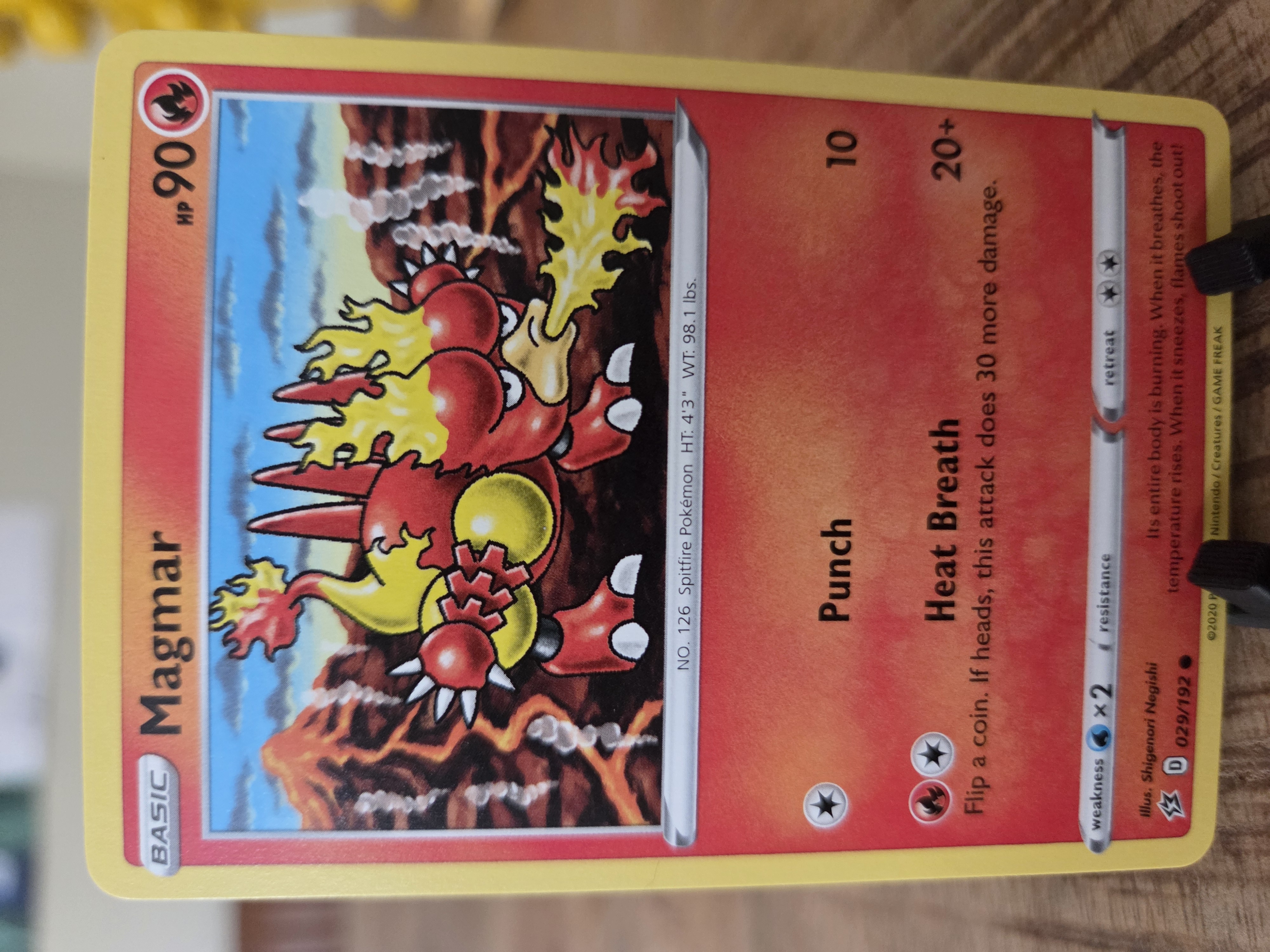 Magmar foto 1