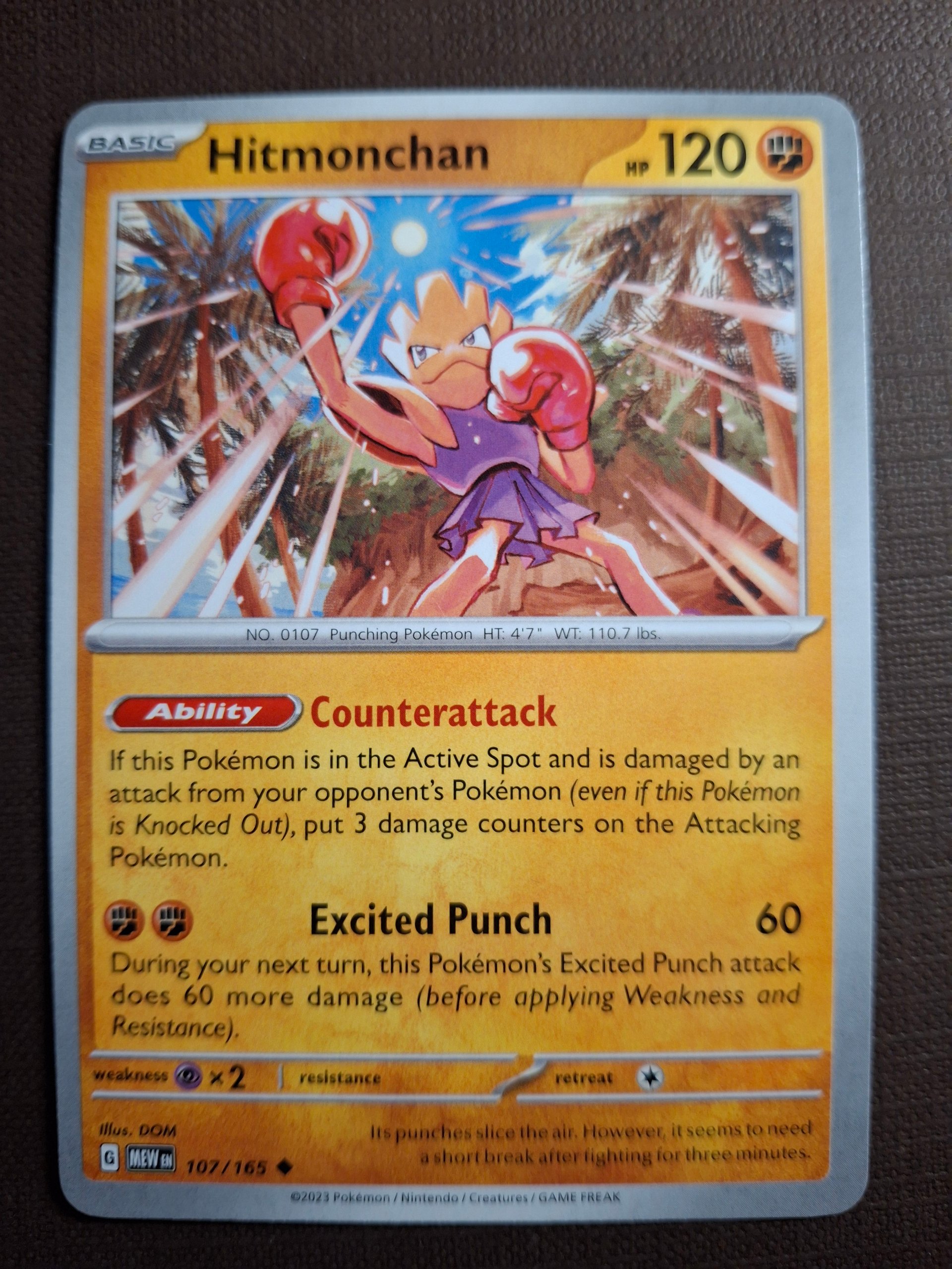 Hitmonchan foto 1