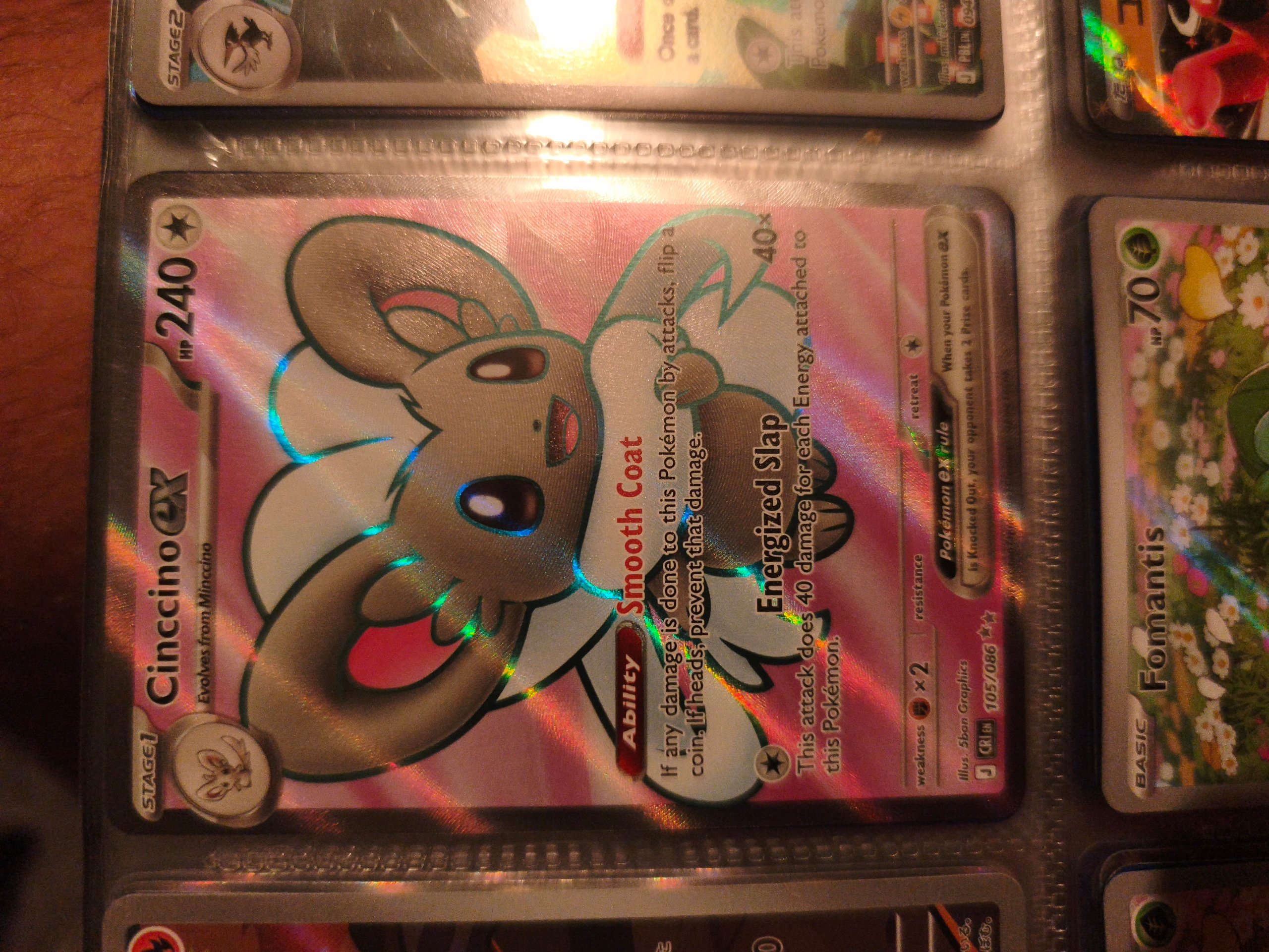 Cinccino ex foto 1