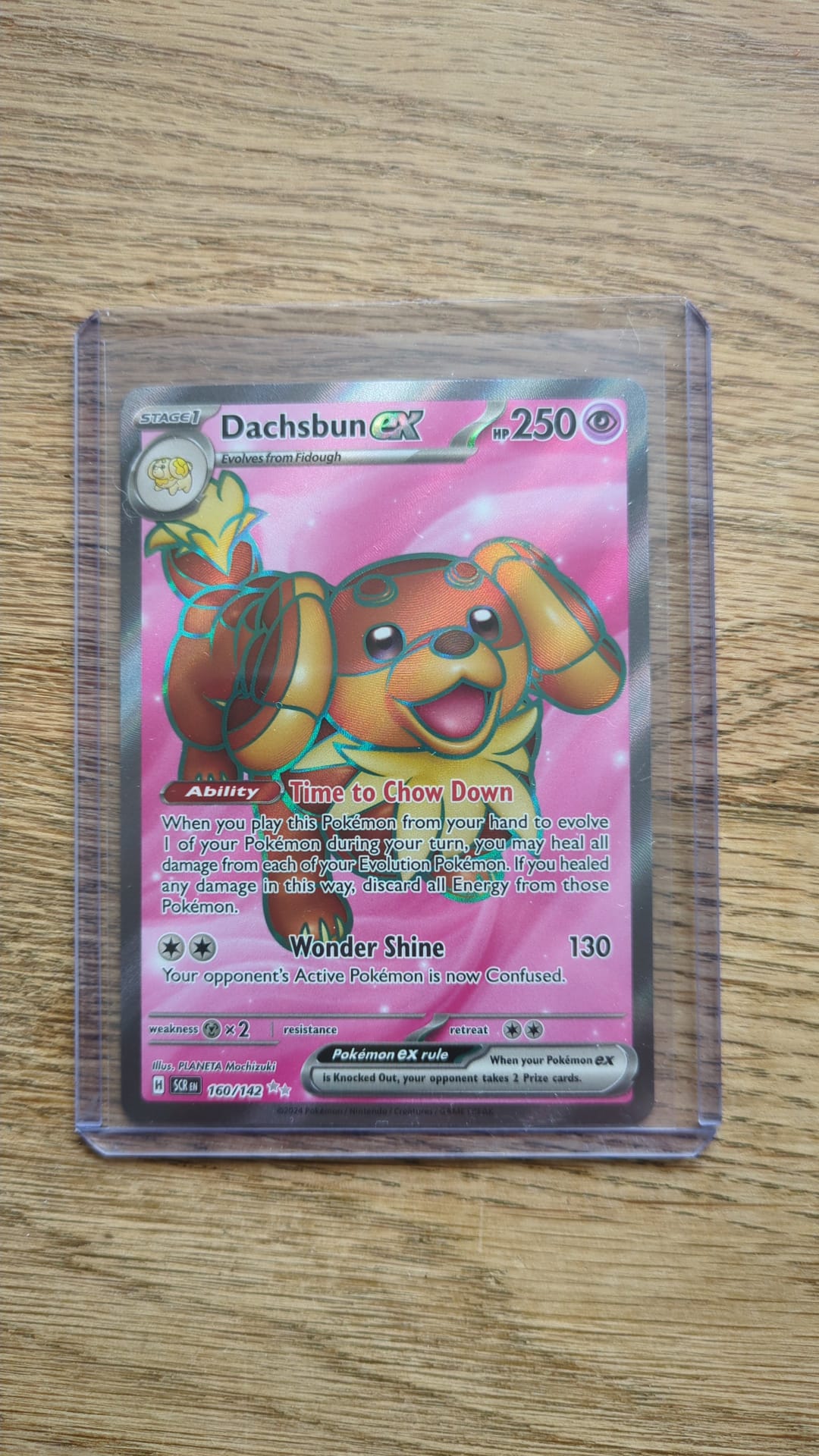 Dachsbun ex