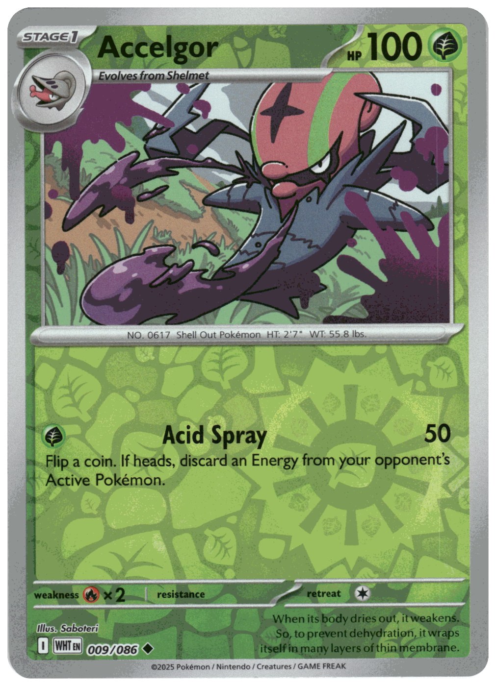 Accelgor