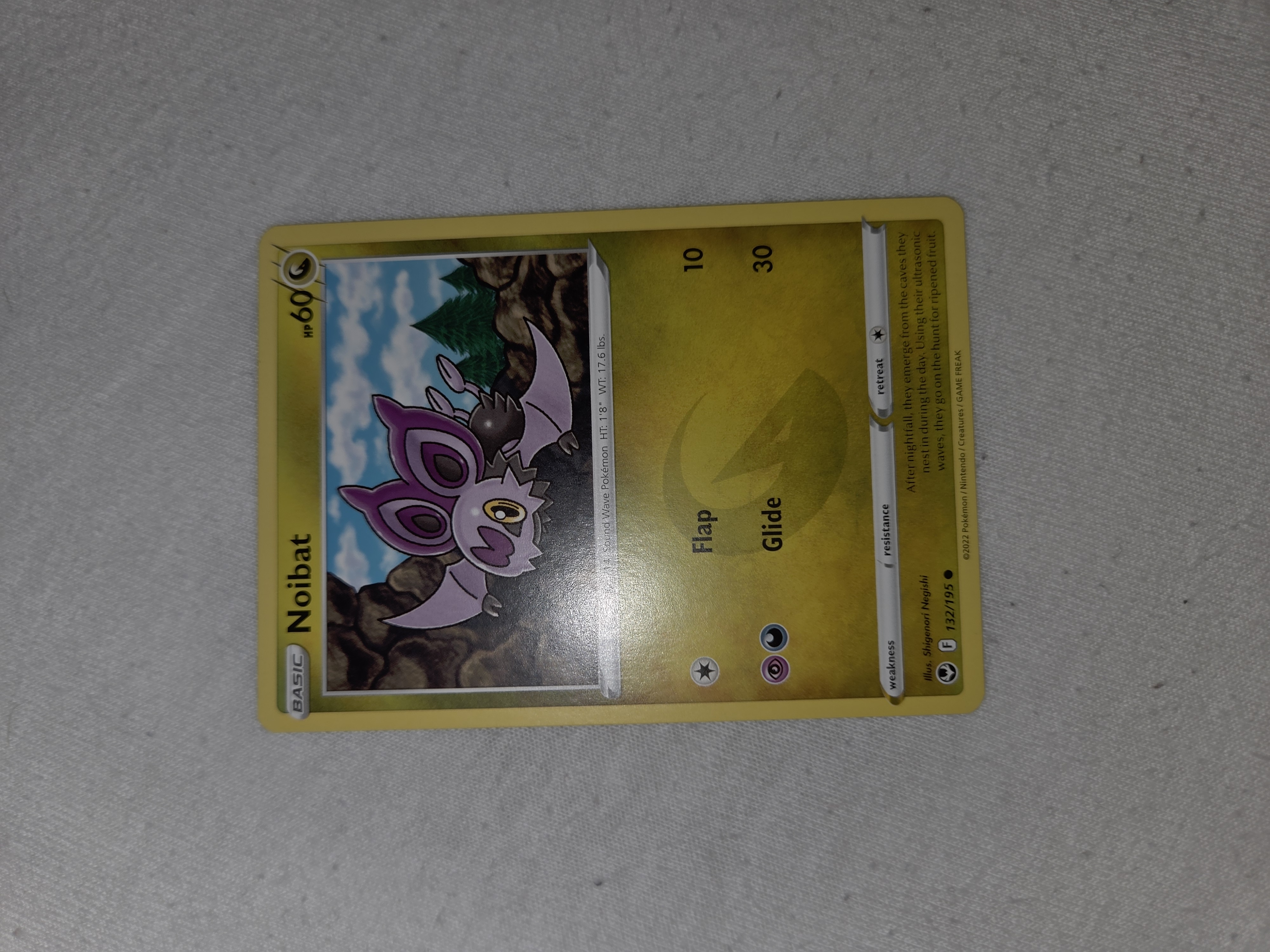 Noibat