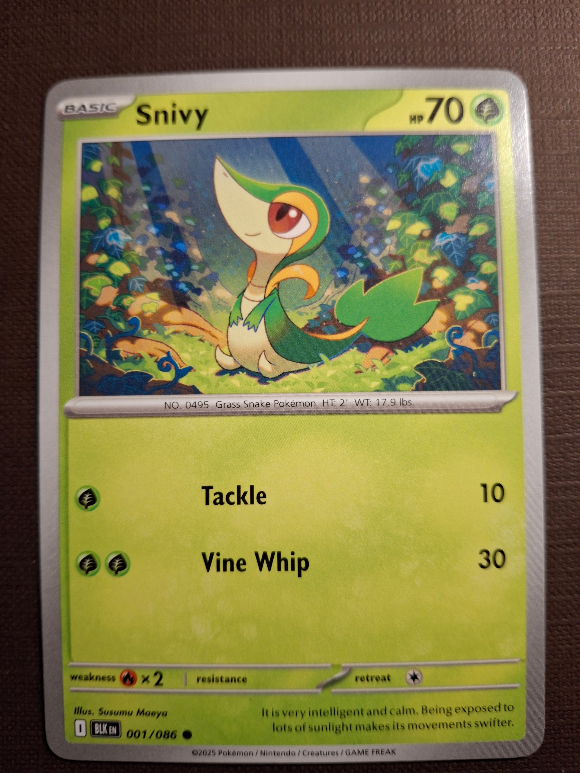 Snivy foto 1