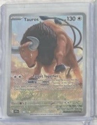 Tauros foto 1