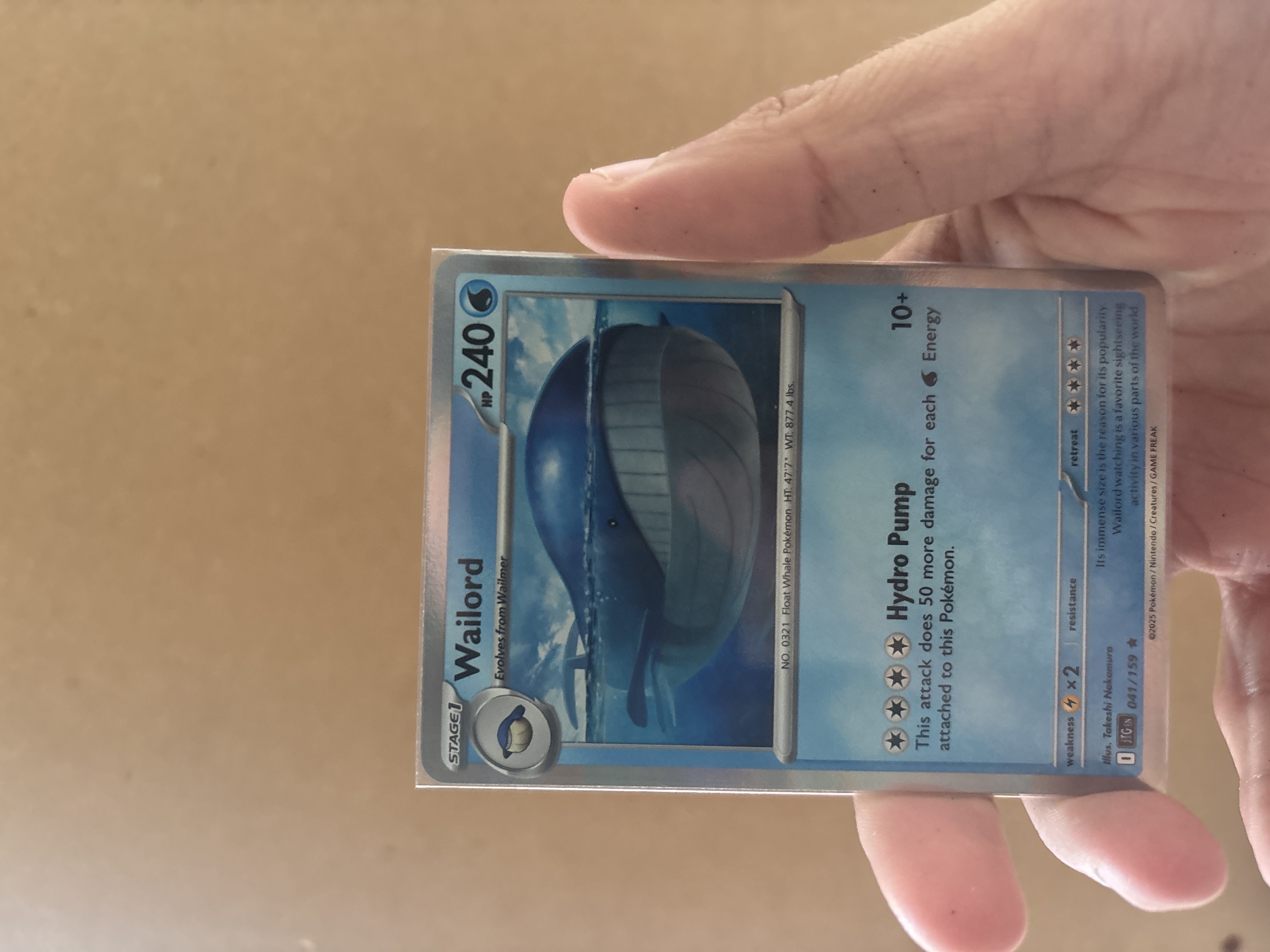 Wailord foto 1