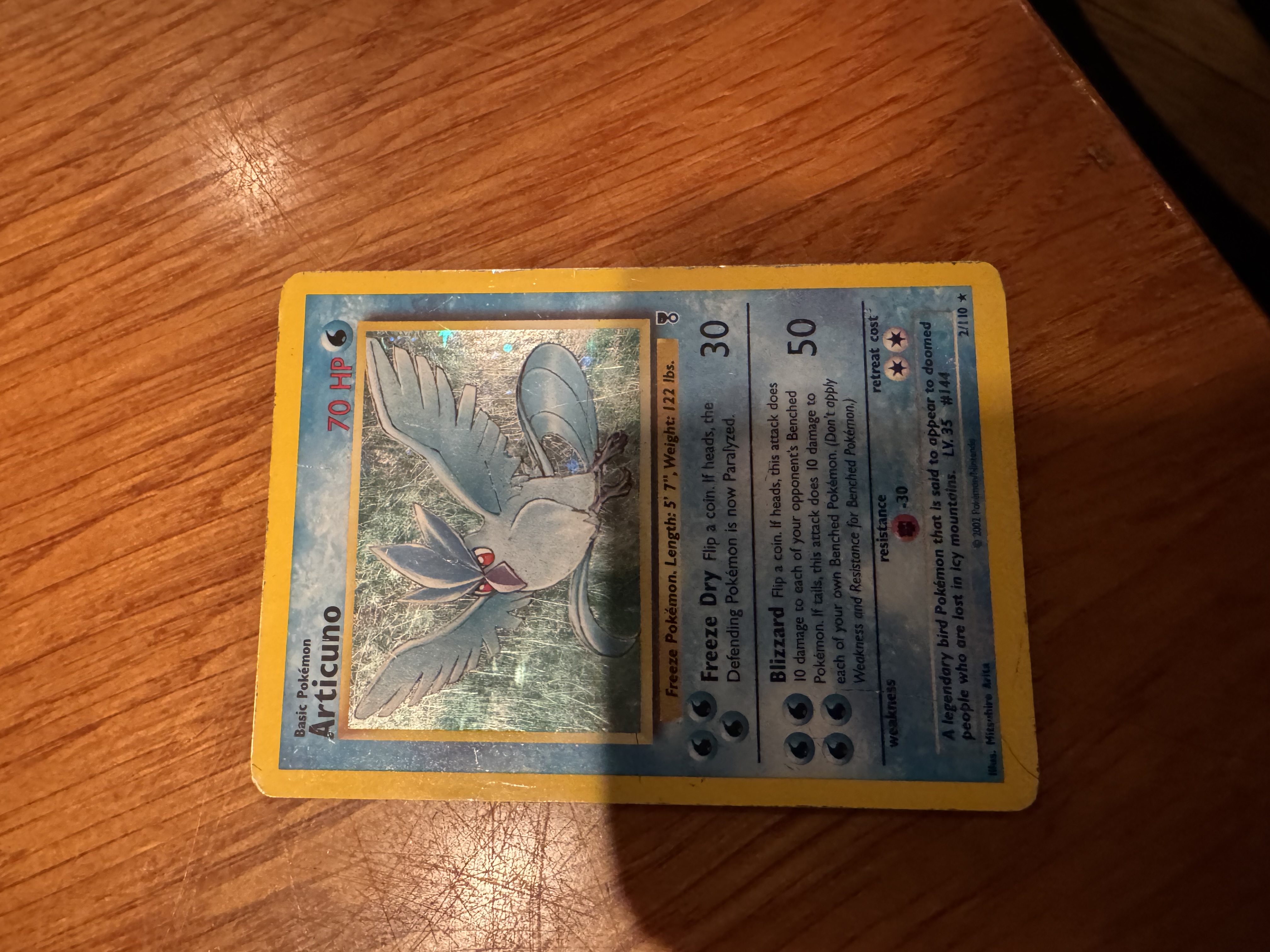 Articuno foto 1
