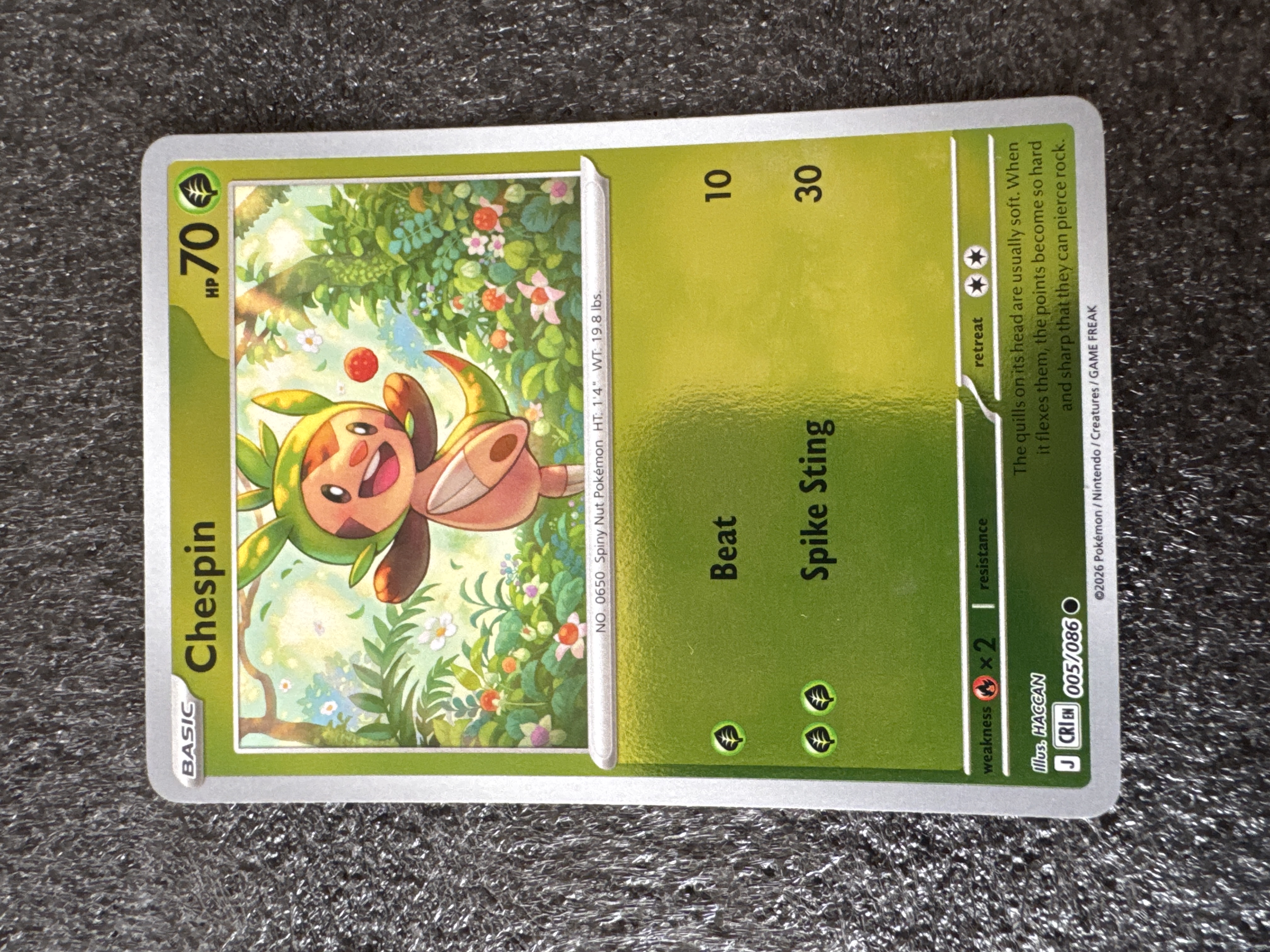 Chespin foto 1
