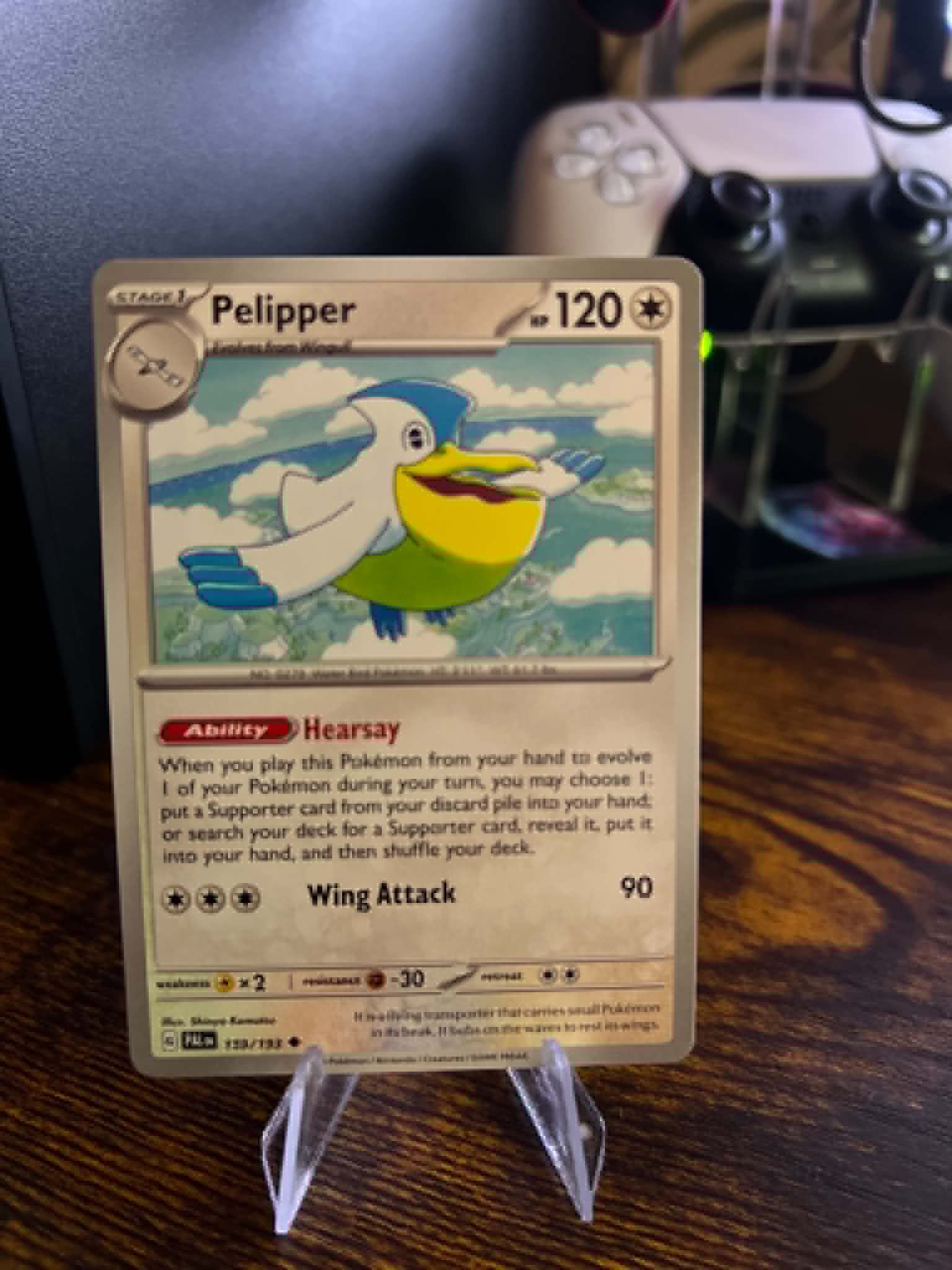 Pelipper foto 1