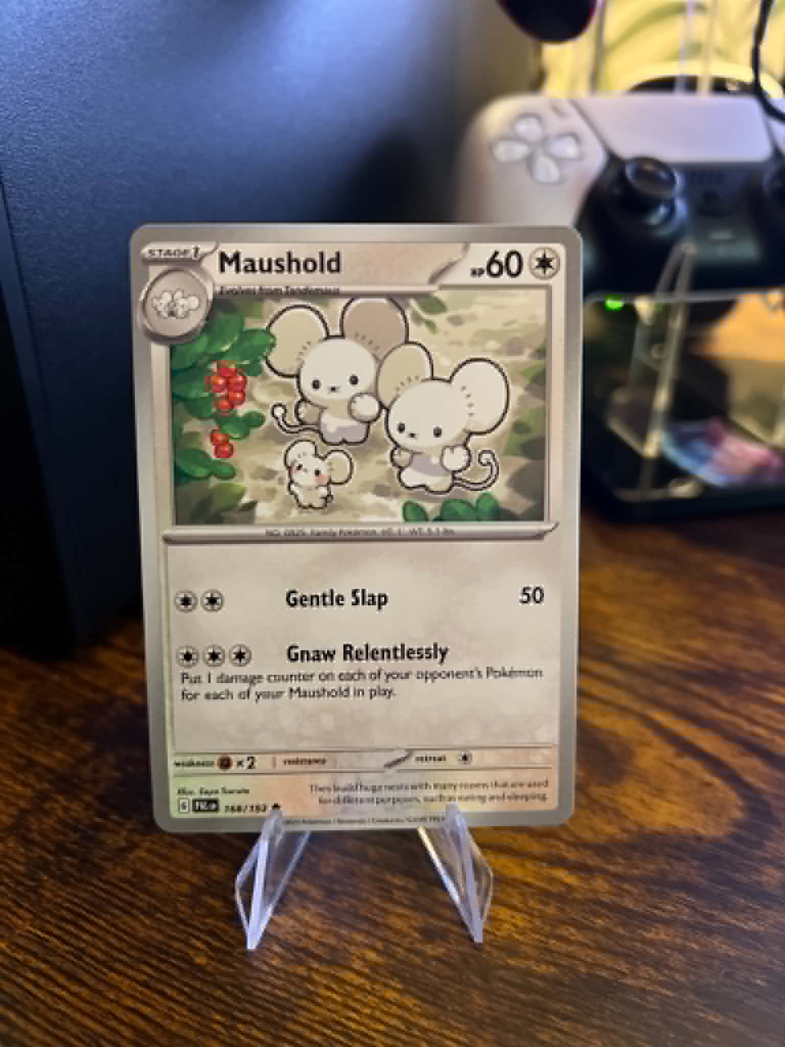 Maushold foto 1