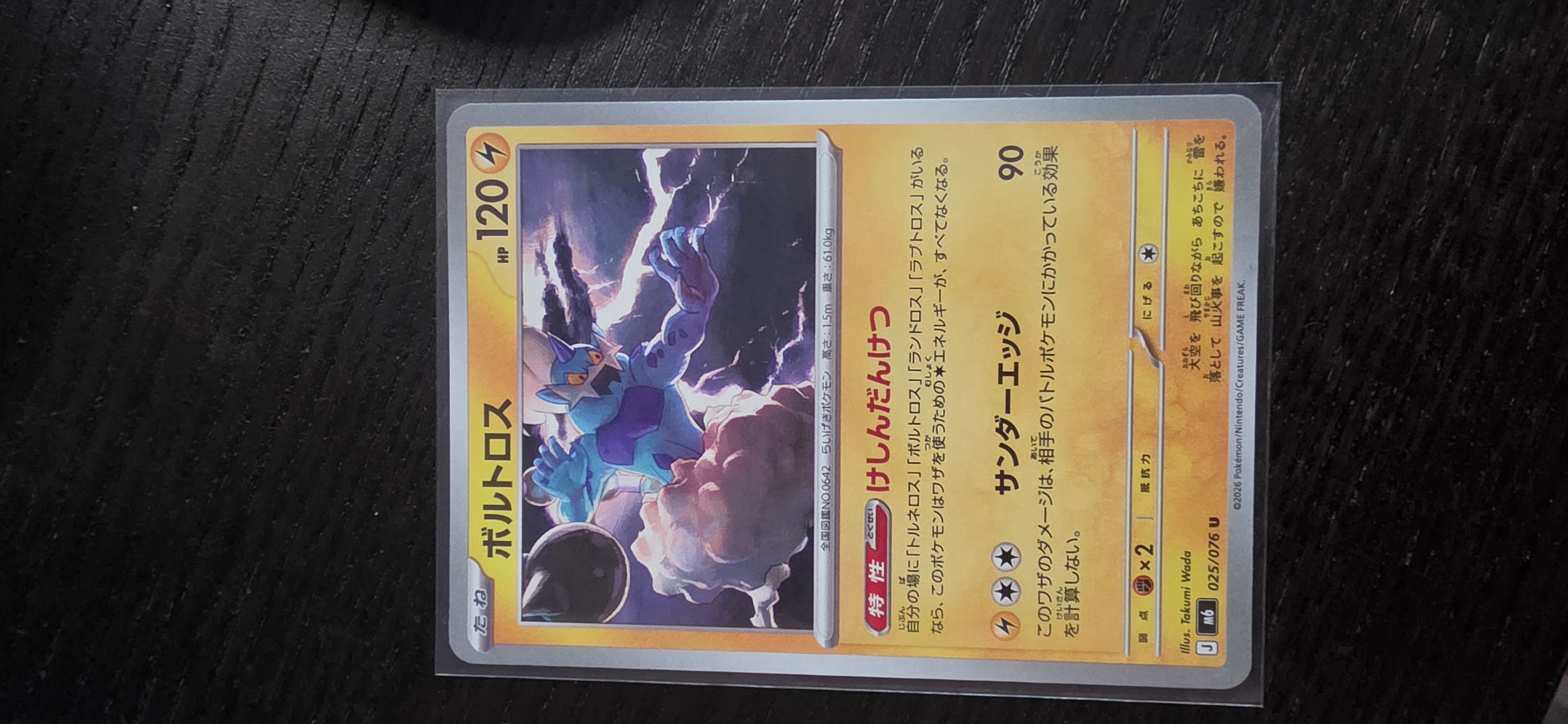 Thundurus foto 1