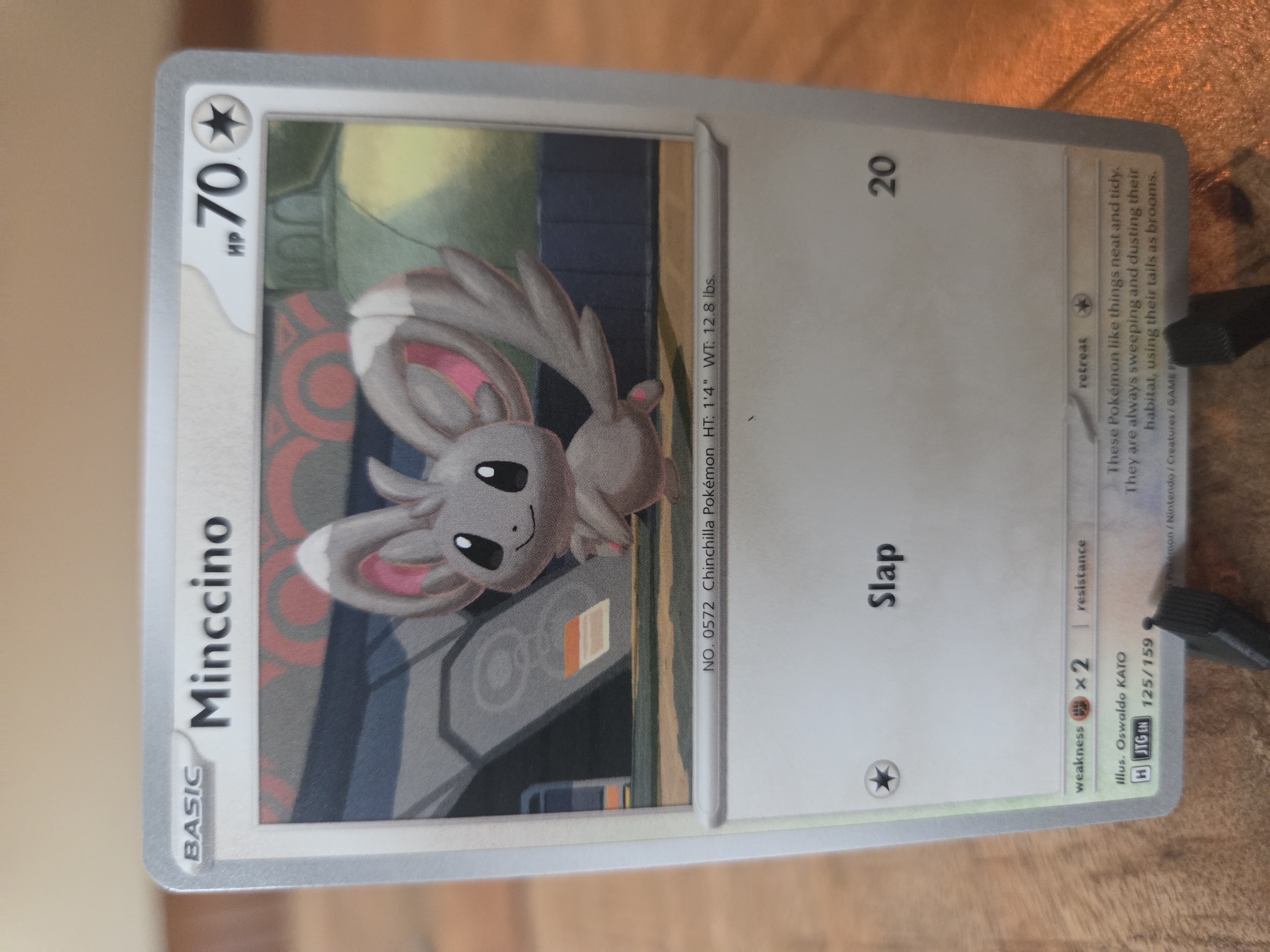 Minccino