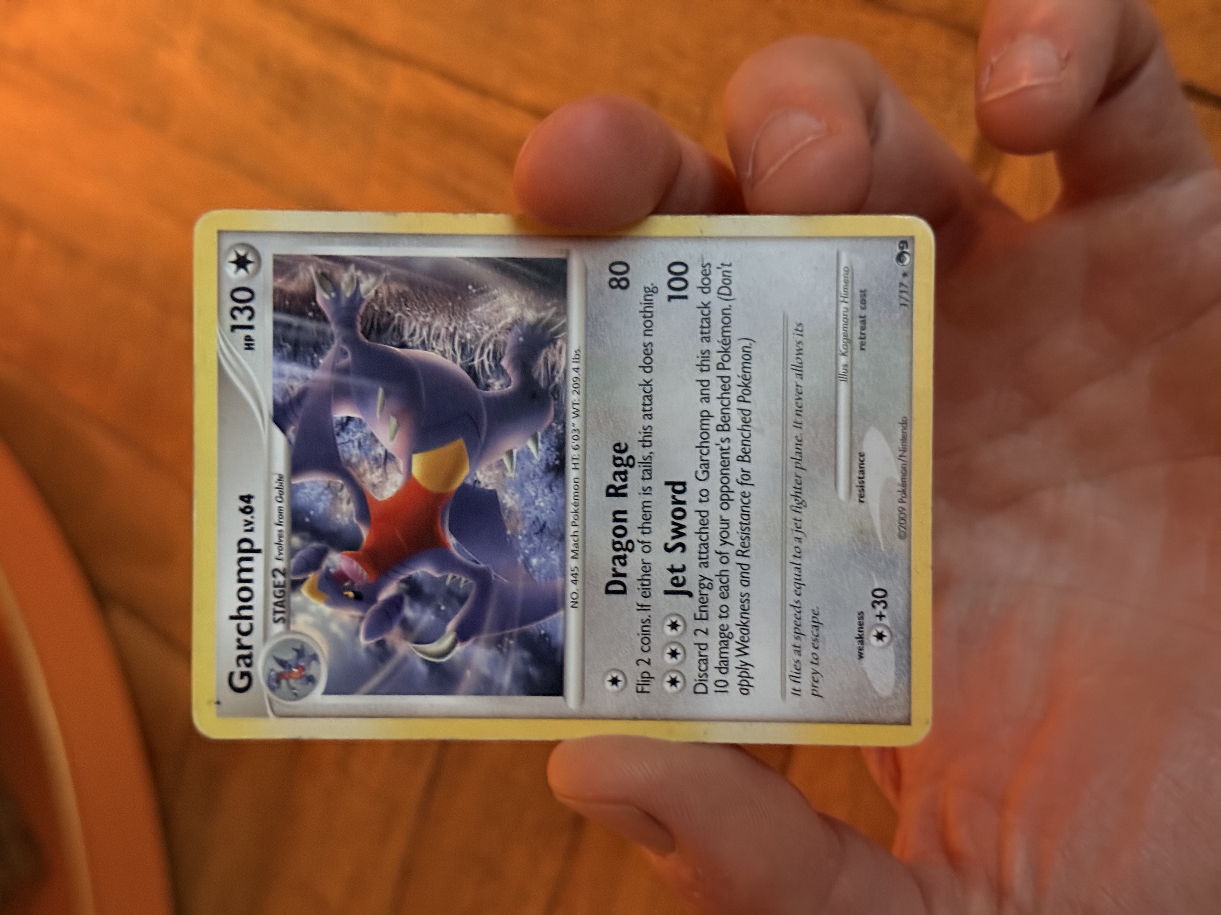 Garchomp foto 1