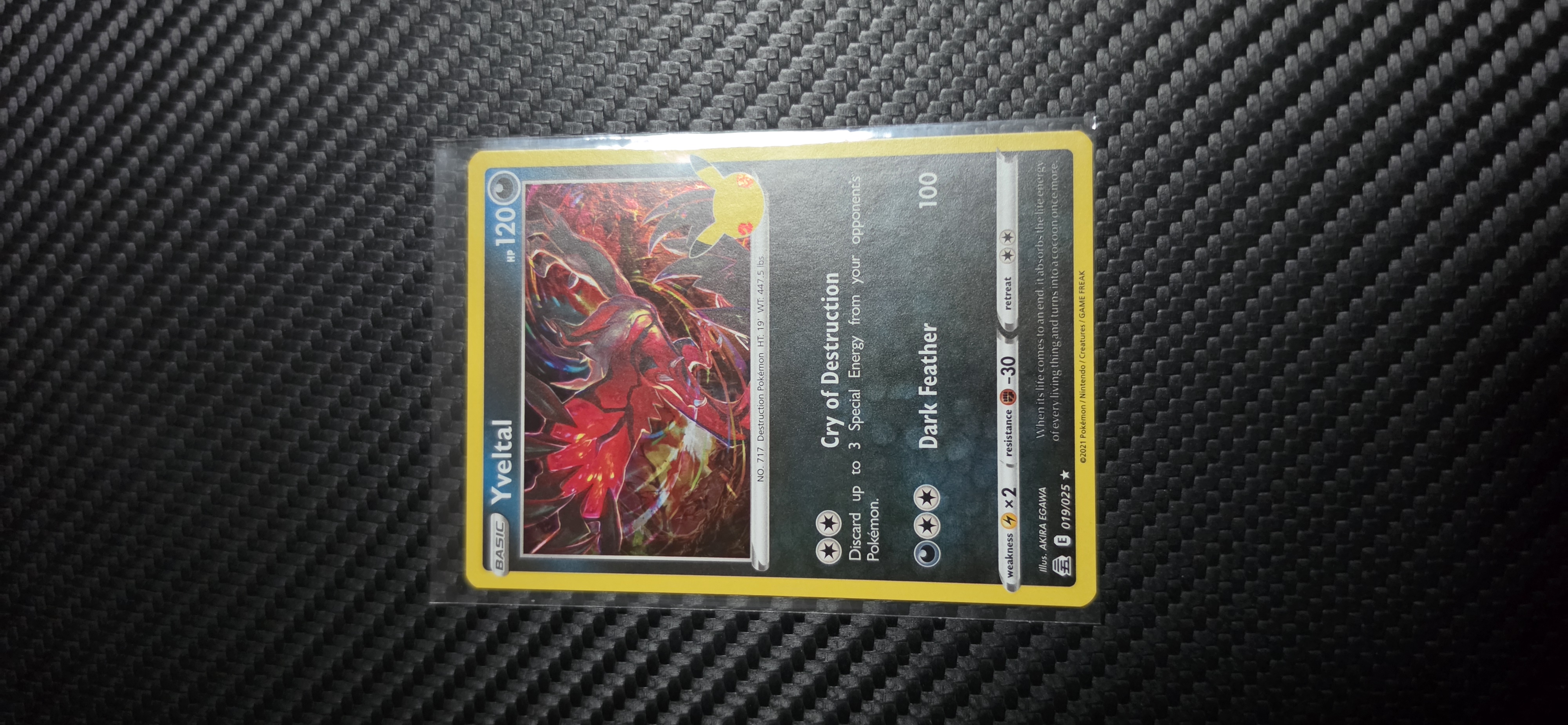Yveltal foto 1
