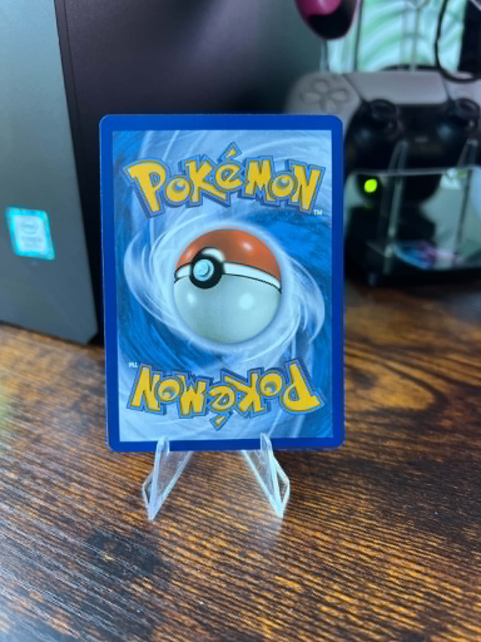 Misdreavus foto 2