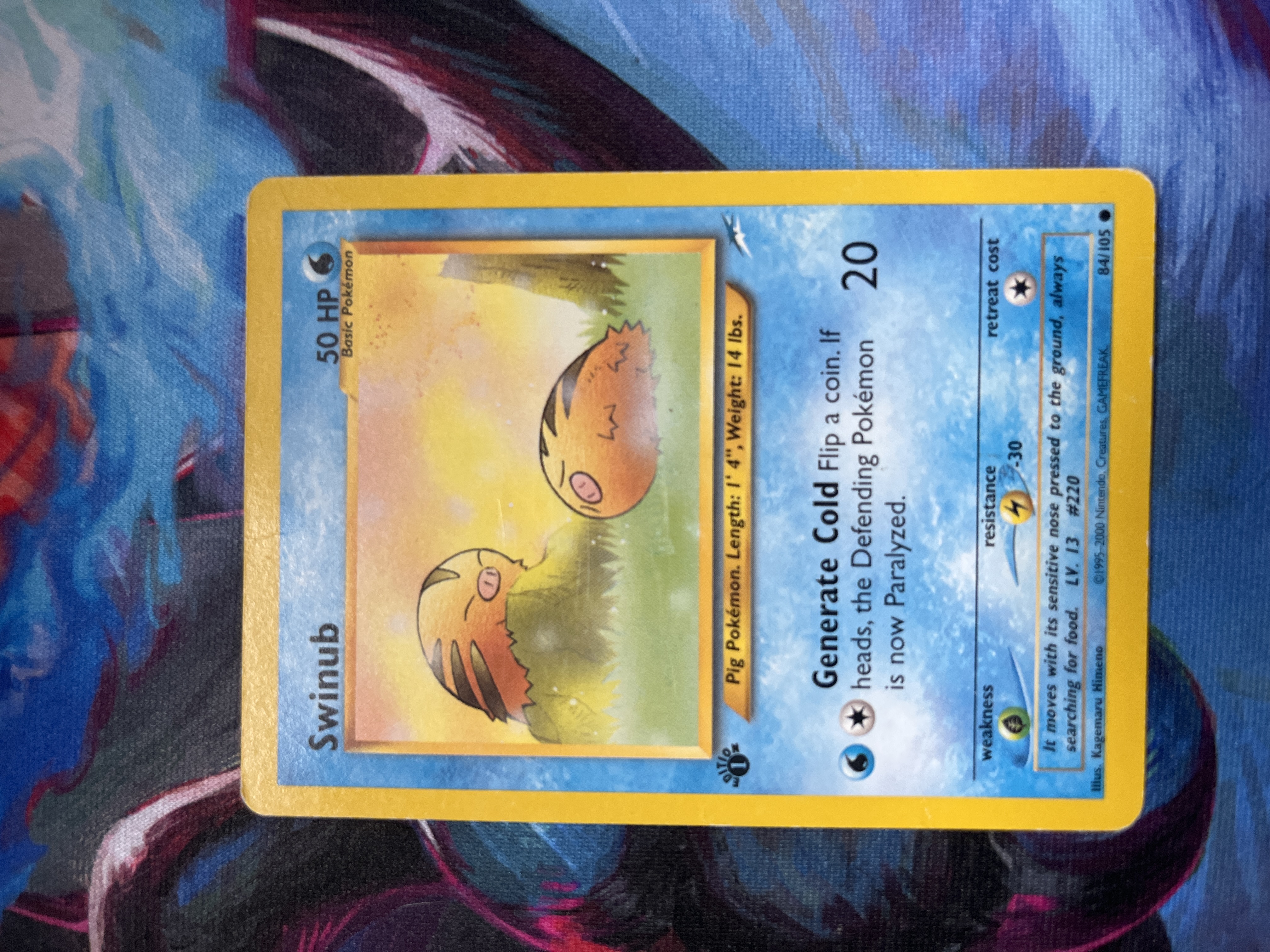 Swinub foto 1