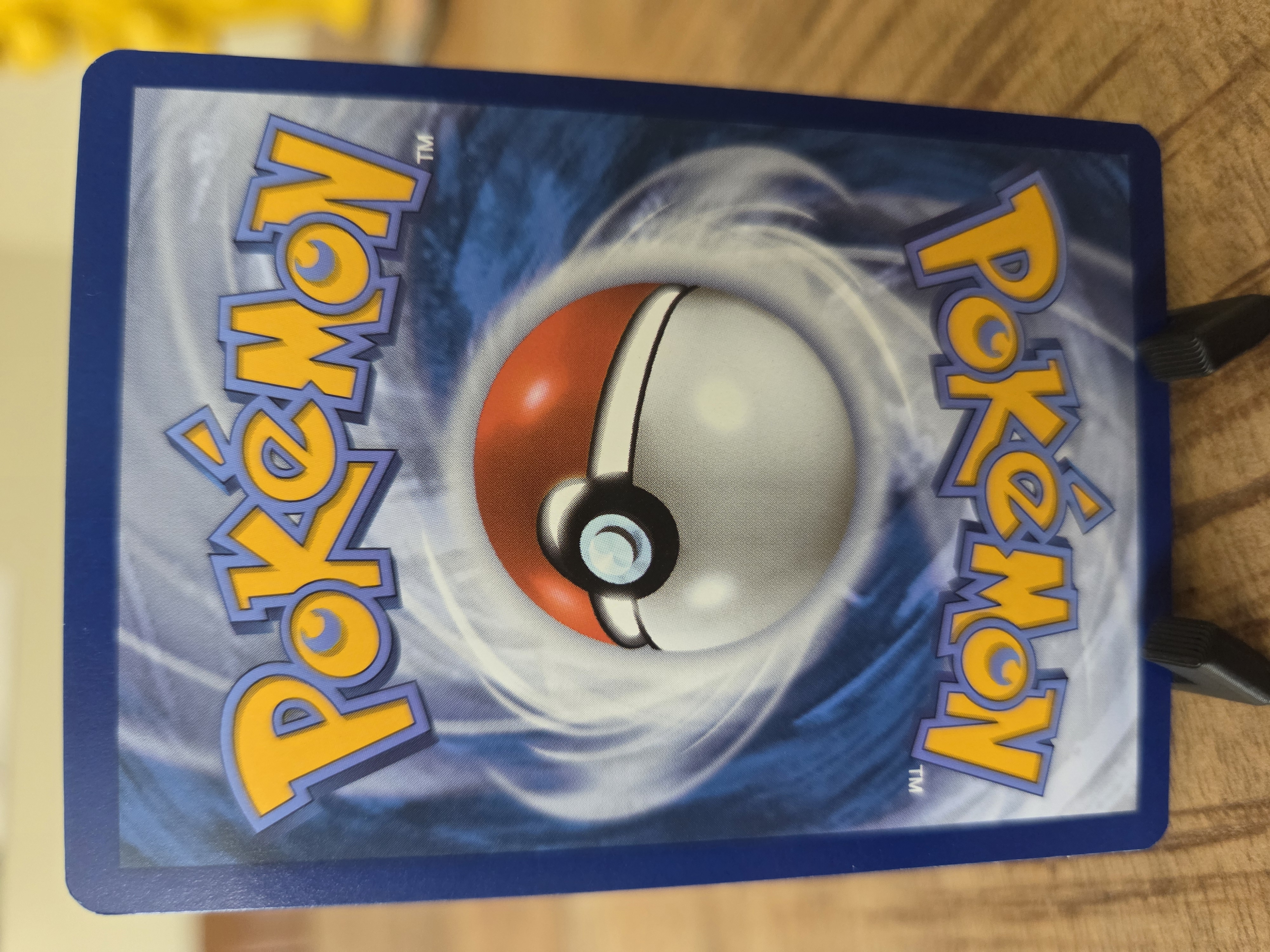 Rattata foto 2