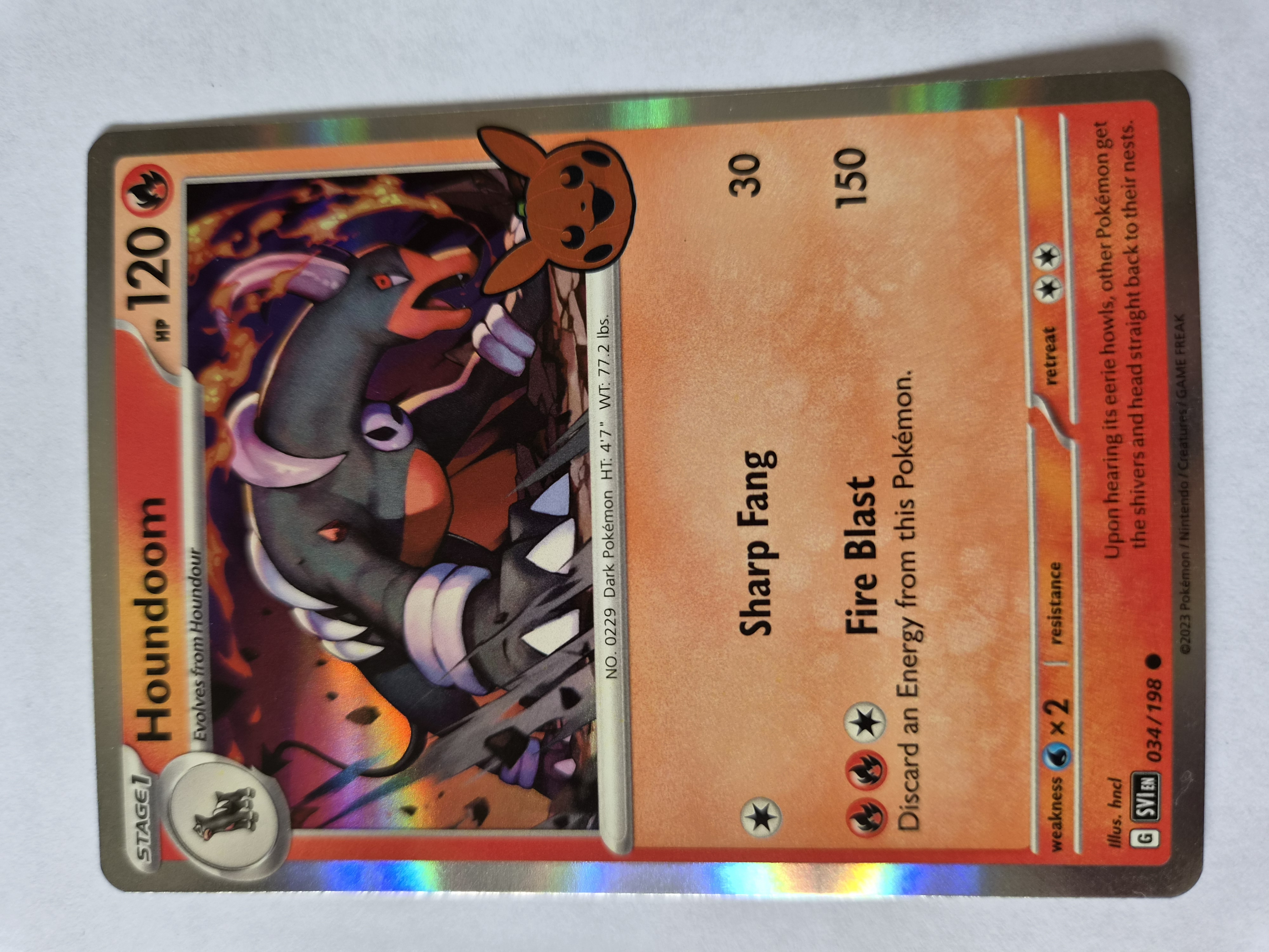 Houndoom foto 1