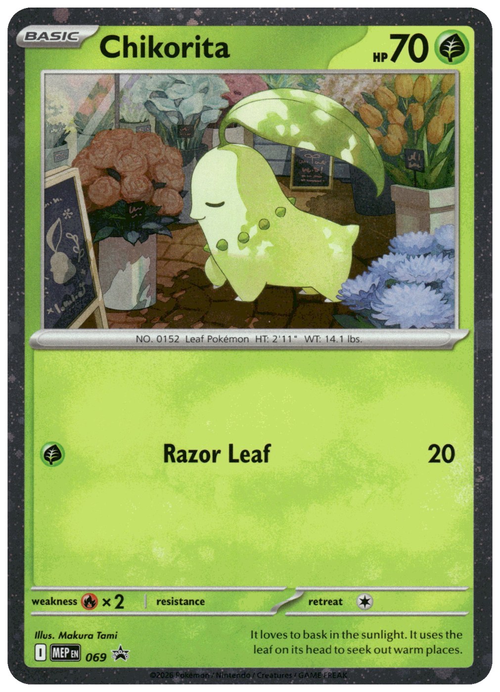 Chikorita
