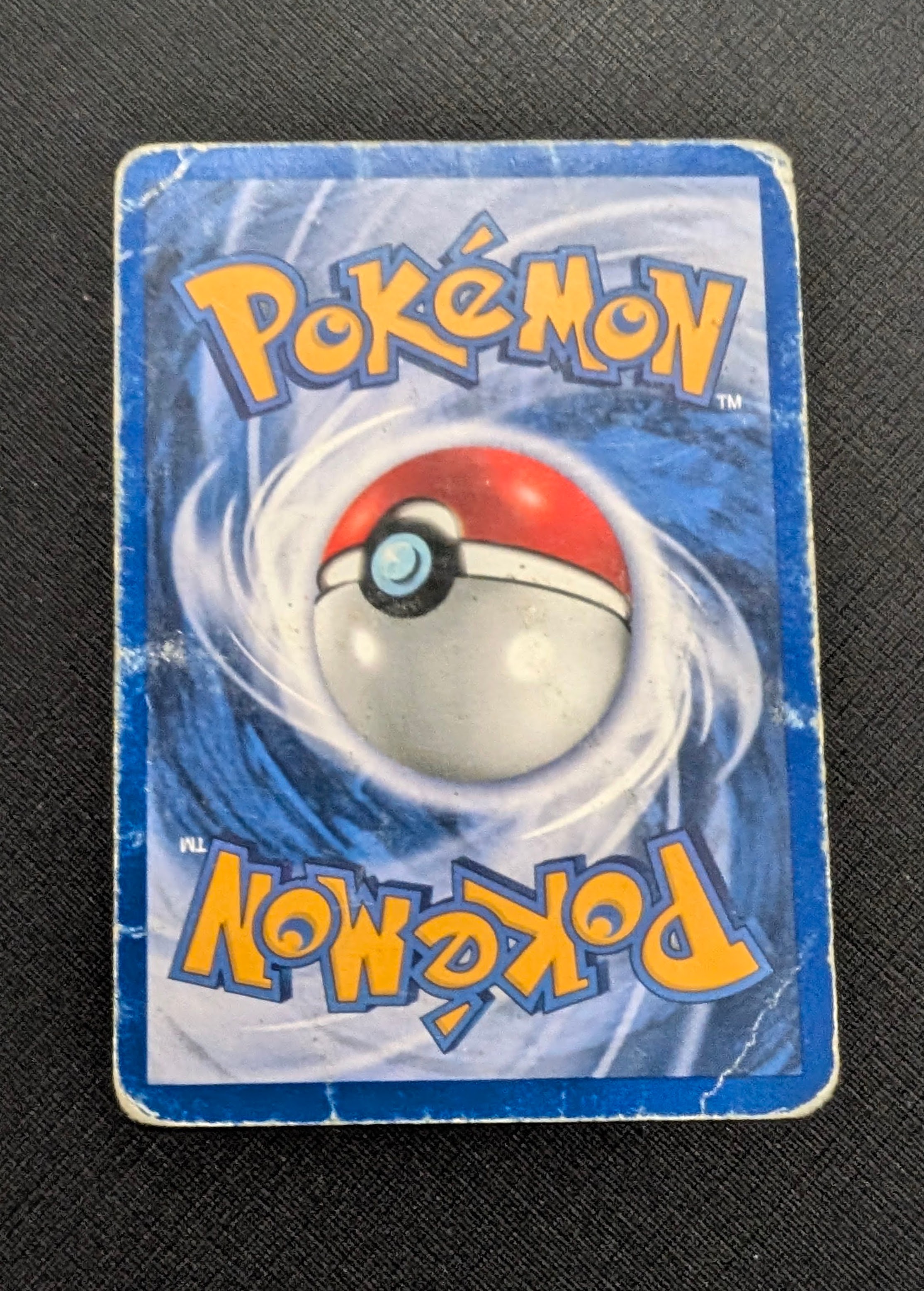 Squirtle foto 2
