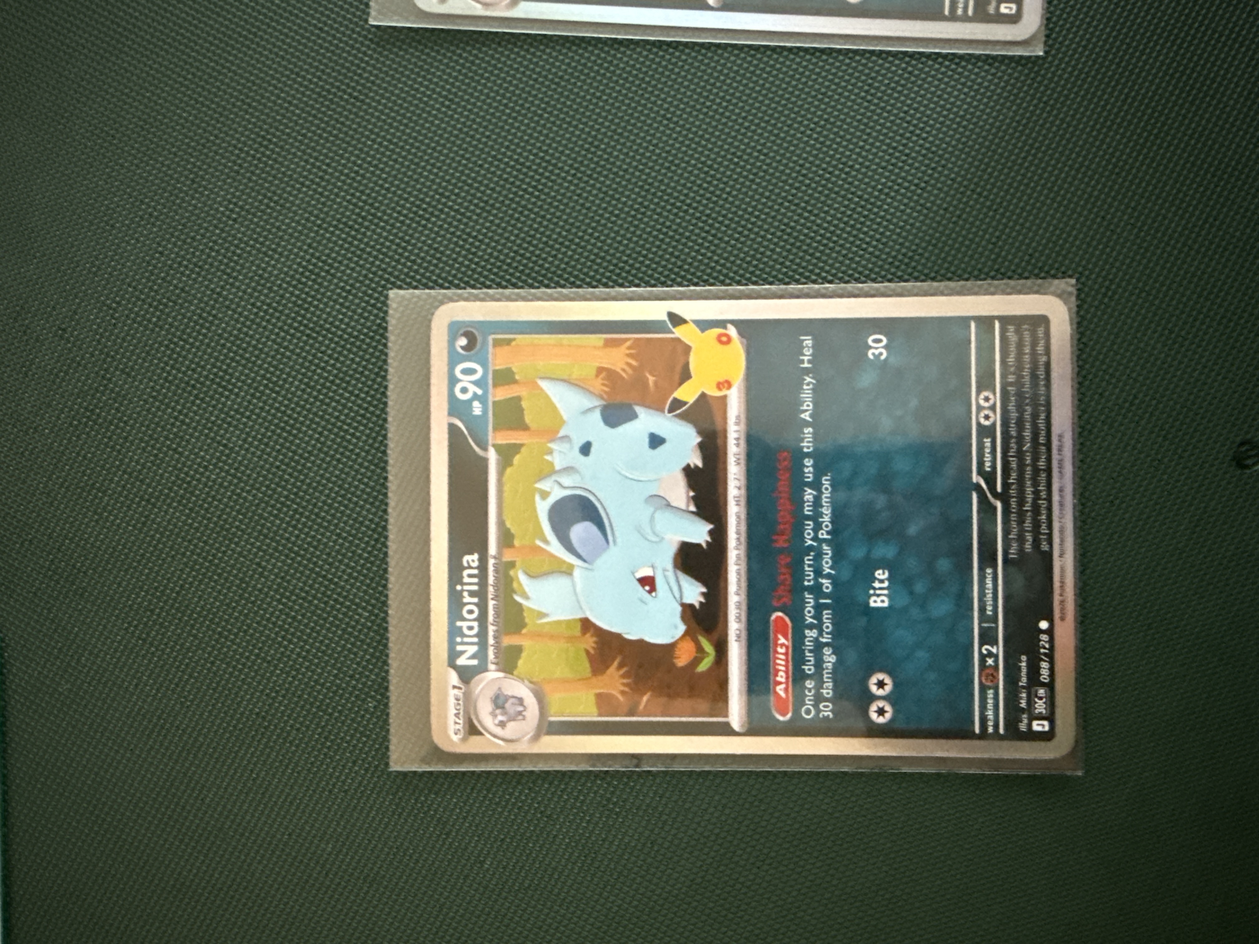 Nidorina foto 1