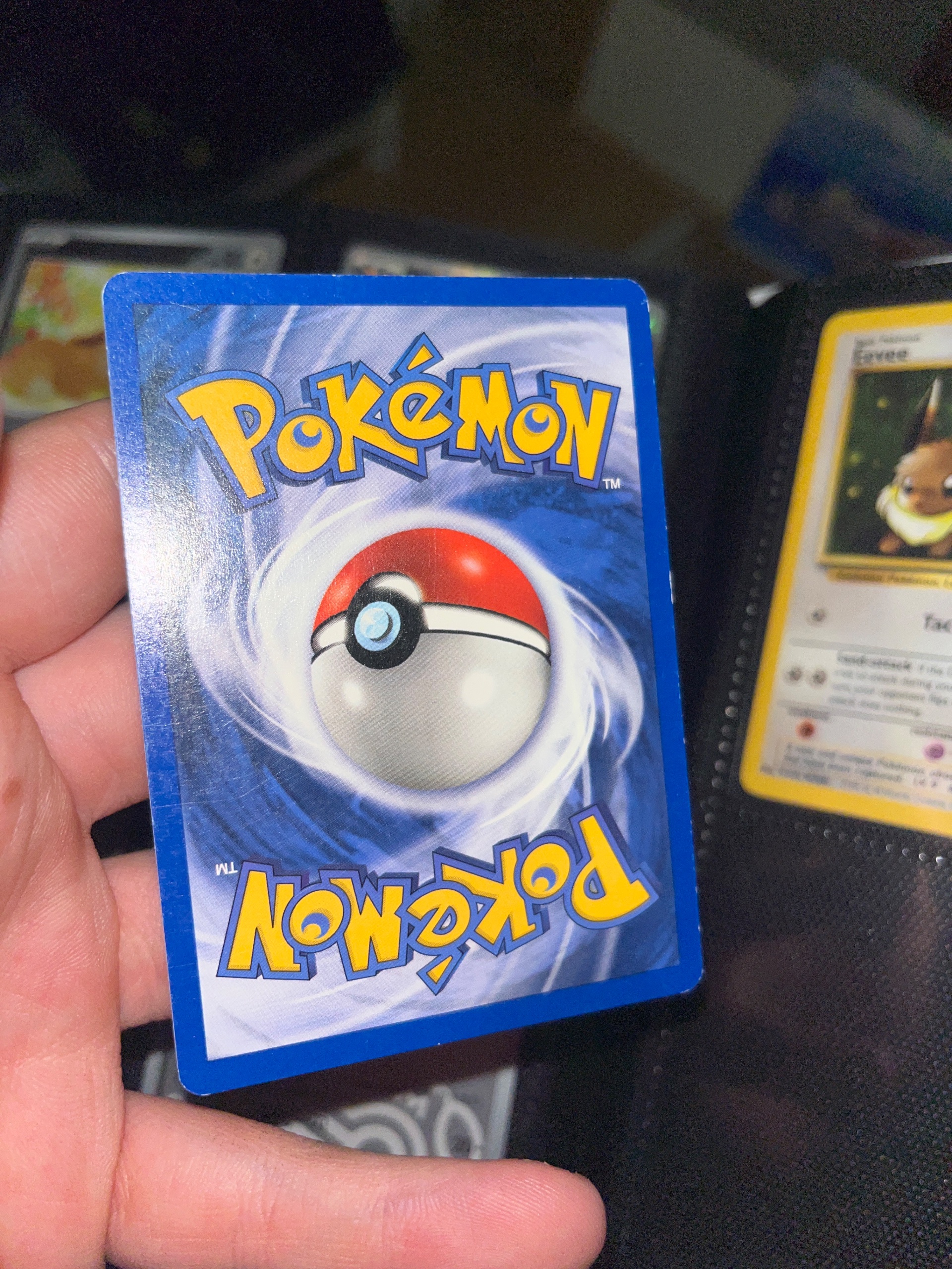 Eevee foto 1