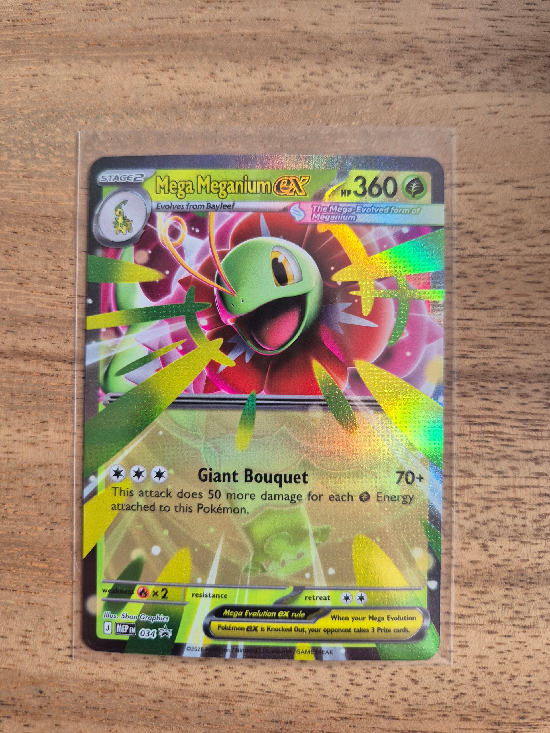 Mega Meganium ex foto 1