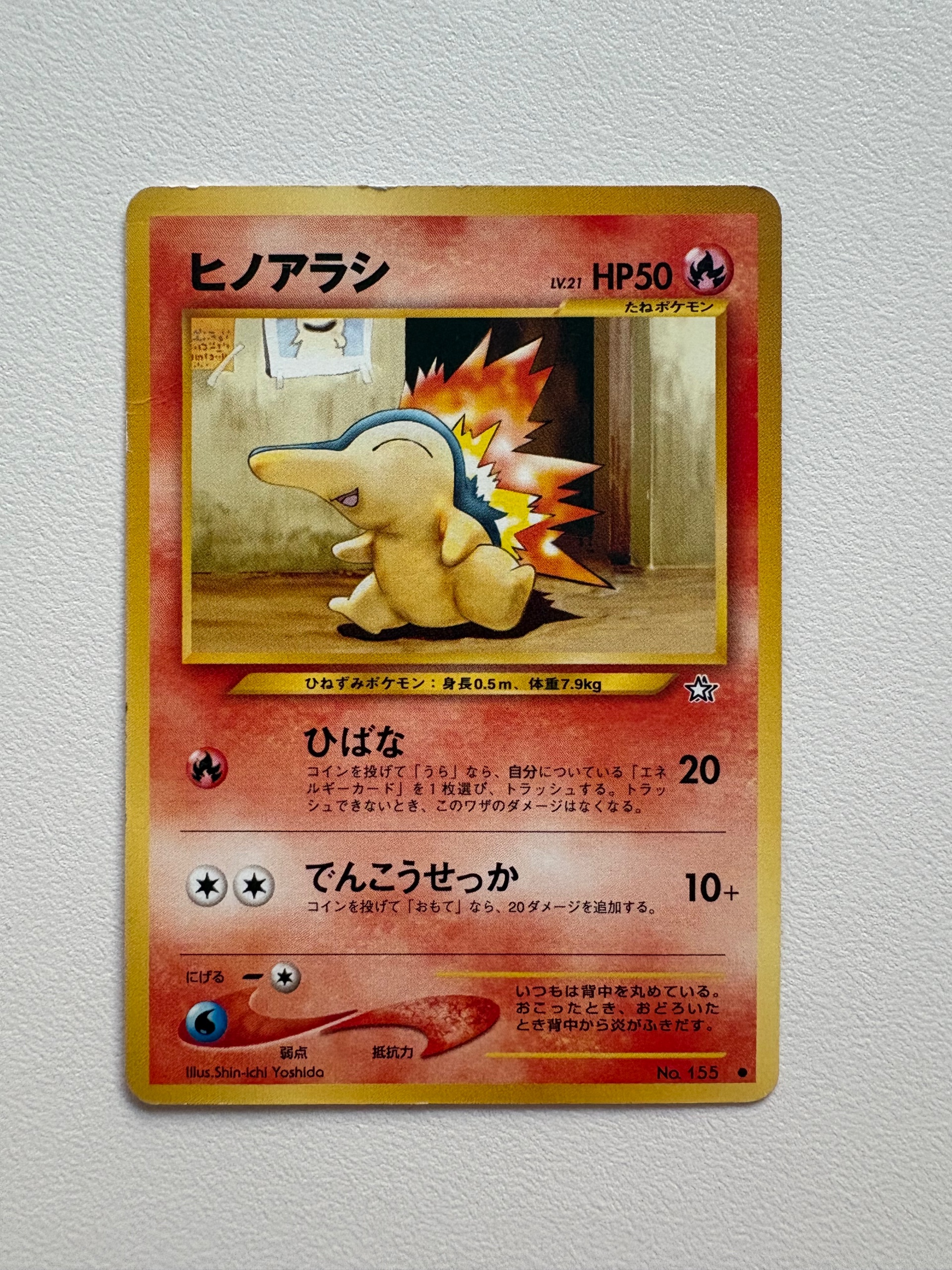 Cyndaquil foto 1