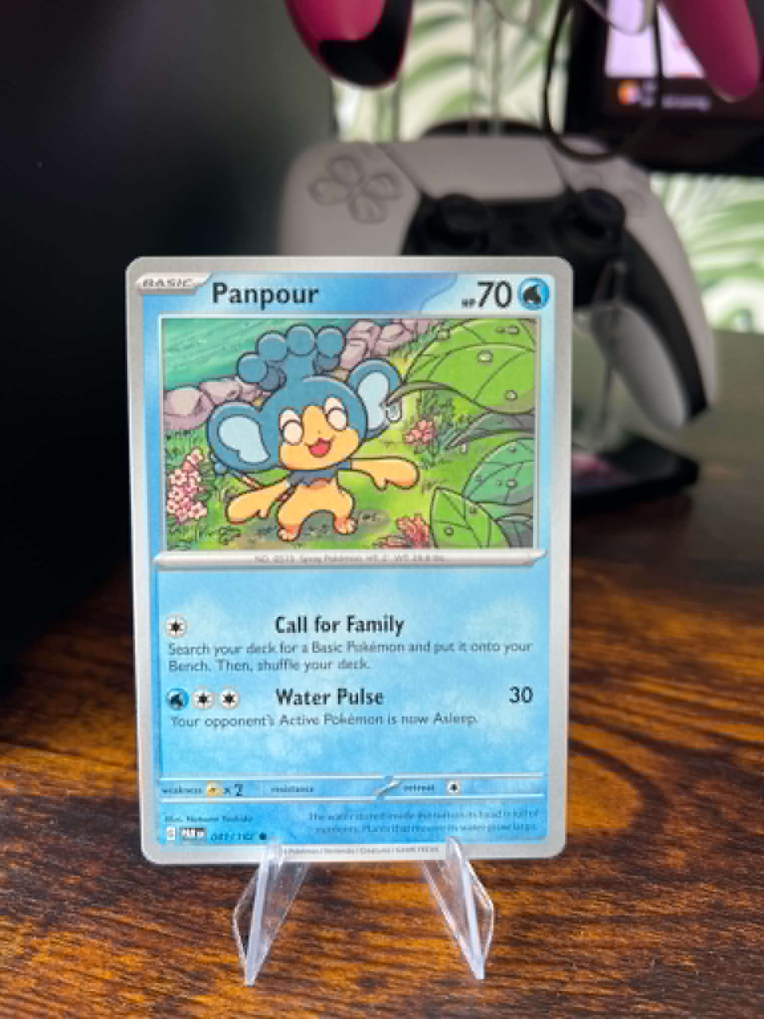 Panpour foto 1
