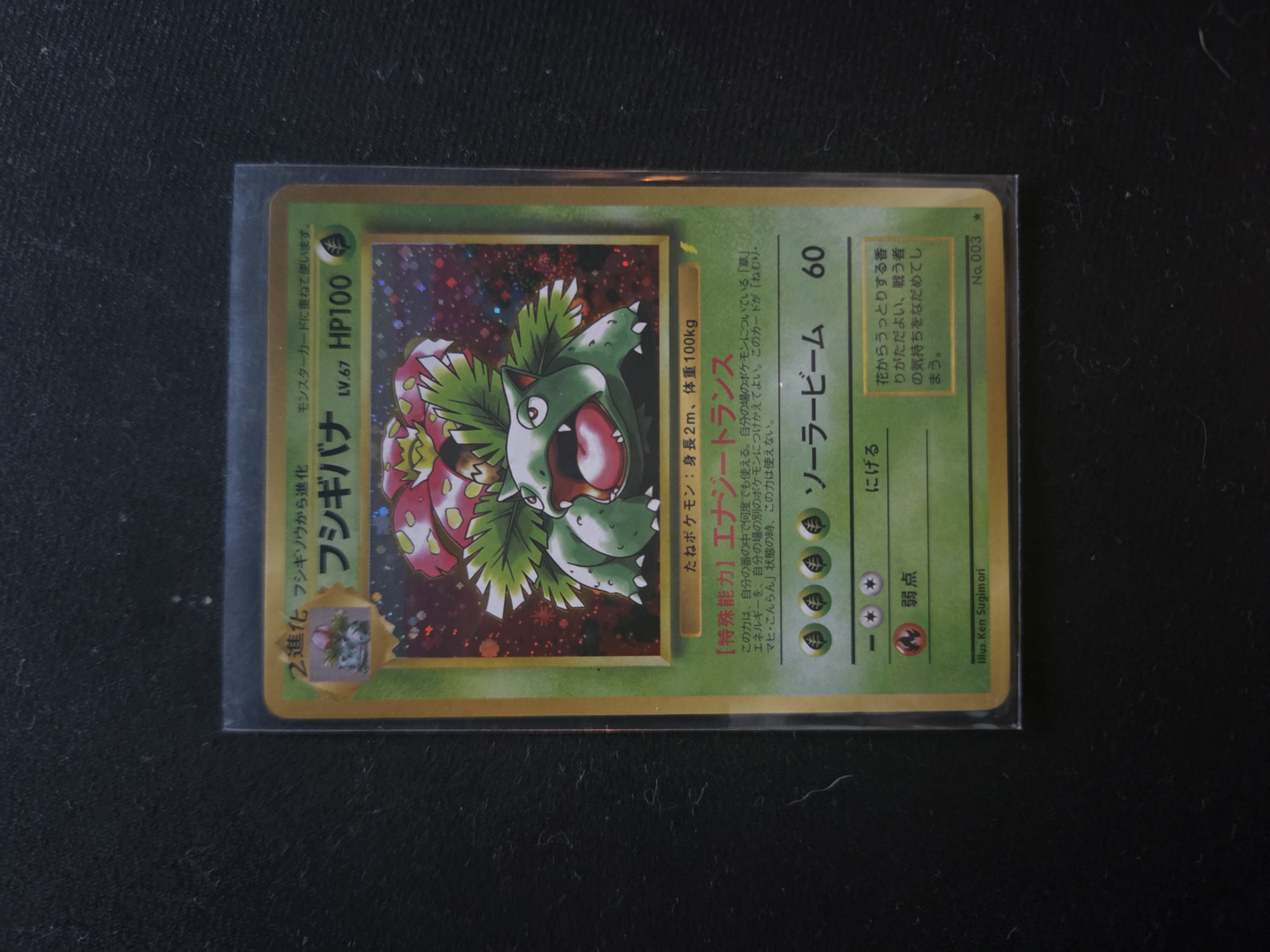 Venusaur foto 1