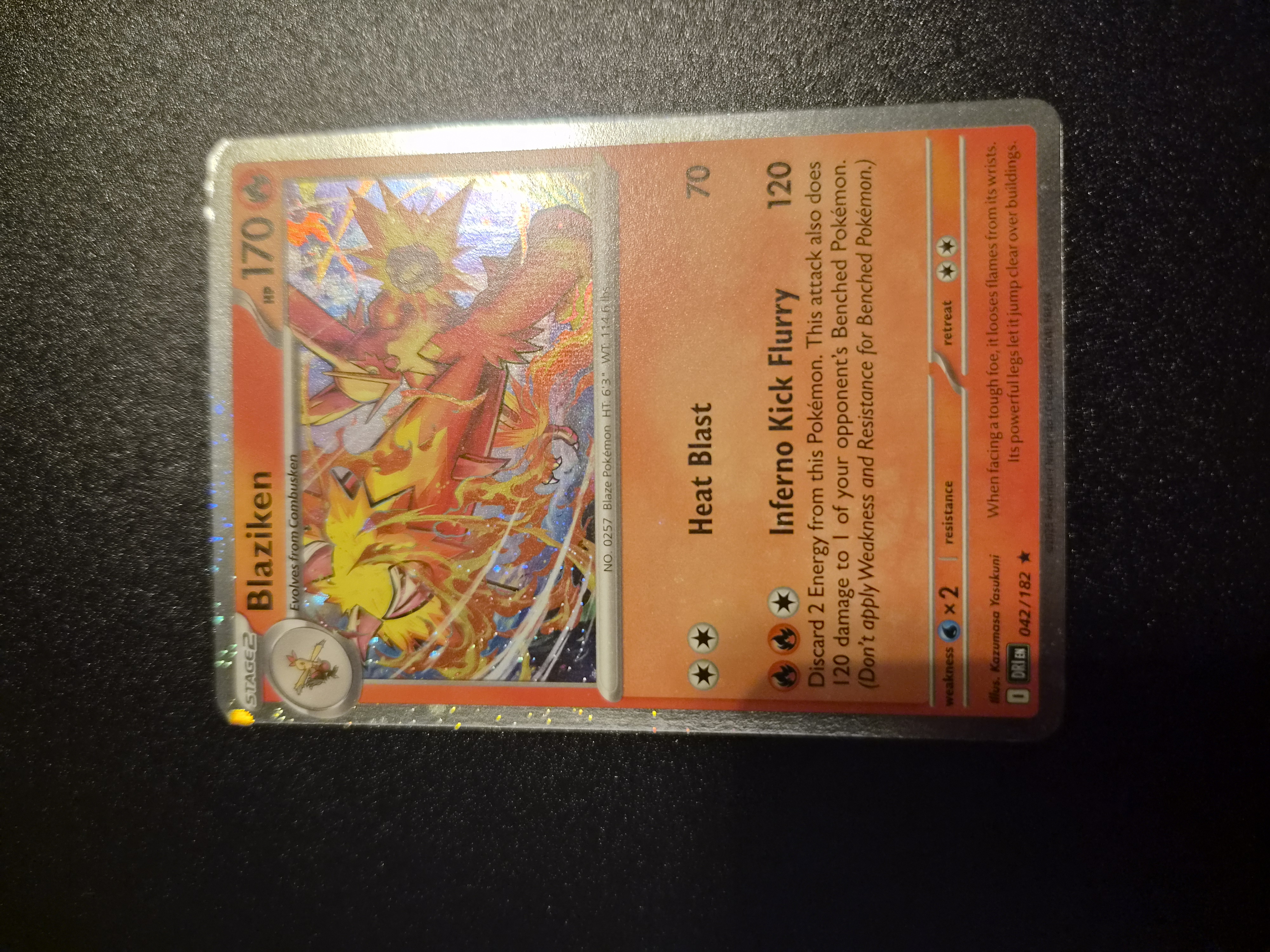 Blaziken foto 1
