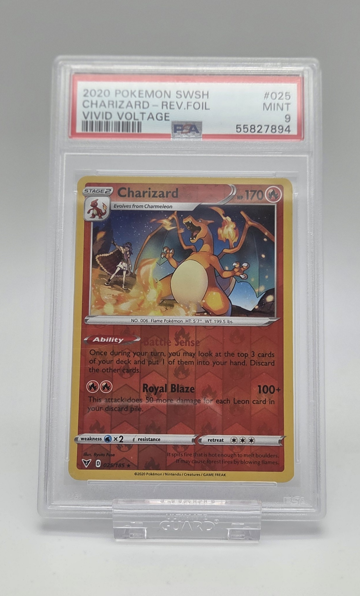 Charizard foto 1