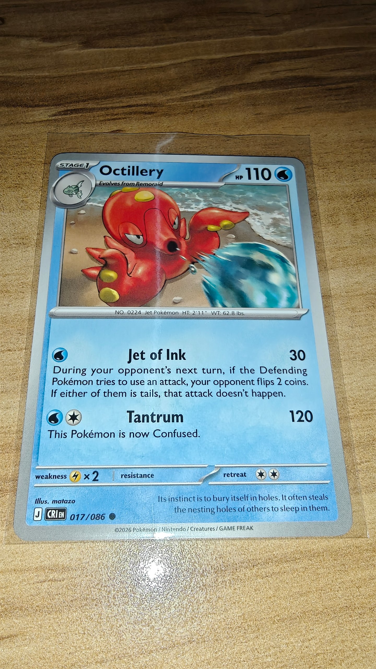 Octillery foto 2