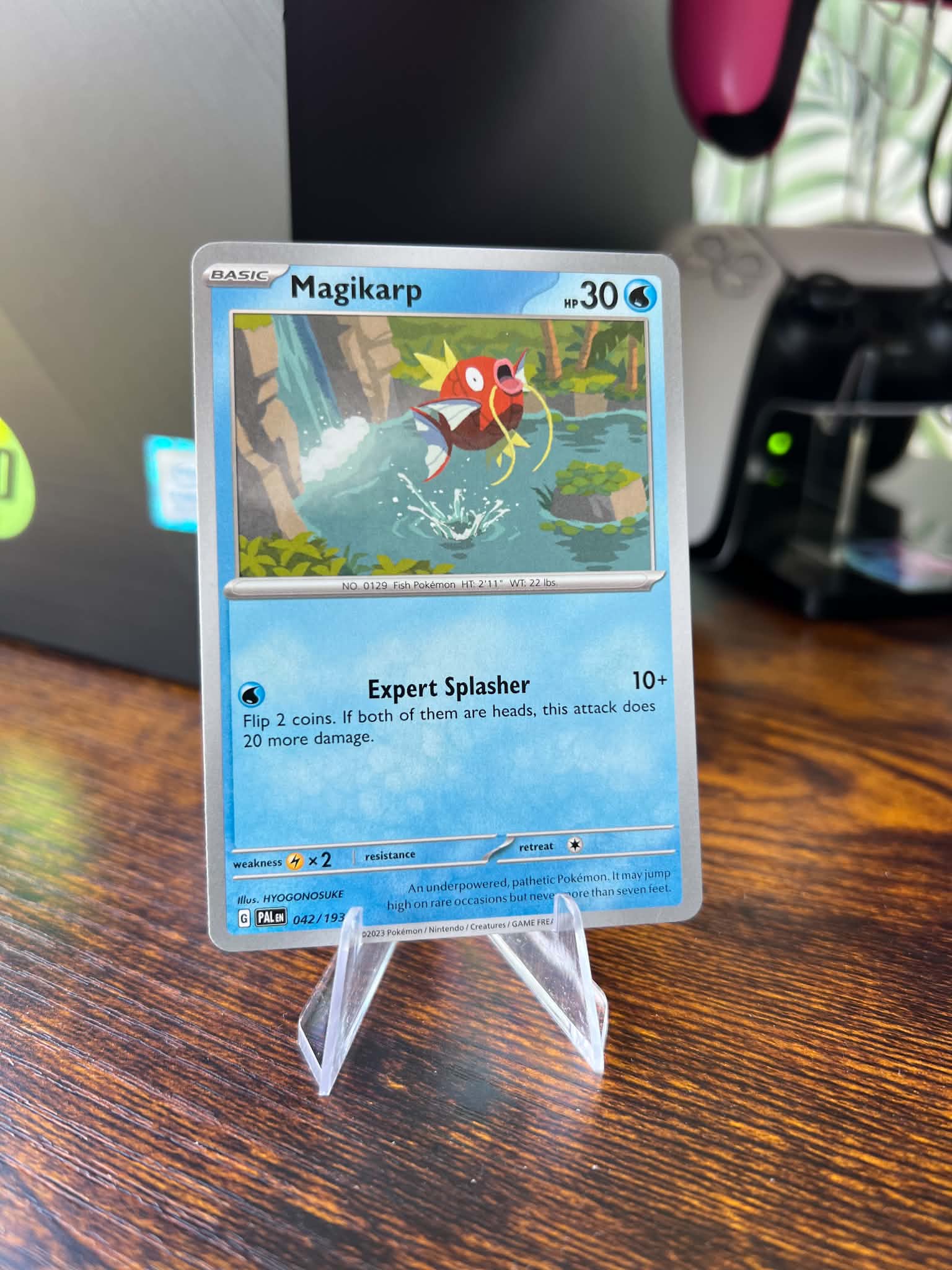 Magikarp foto 1