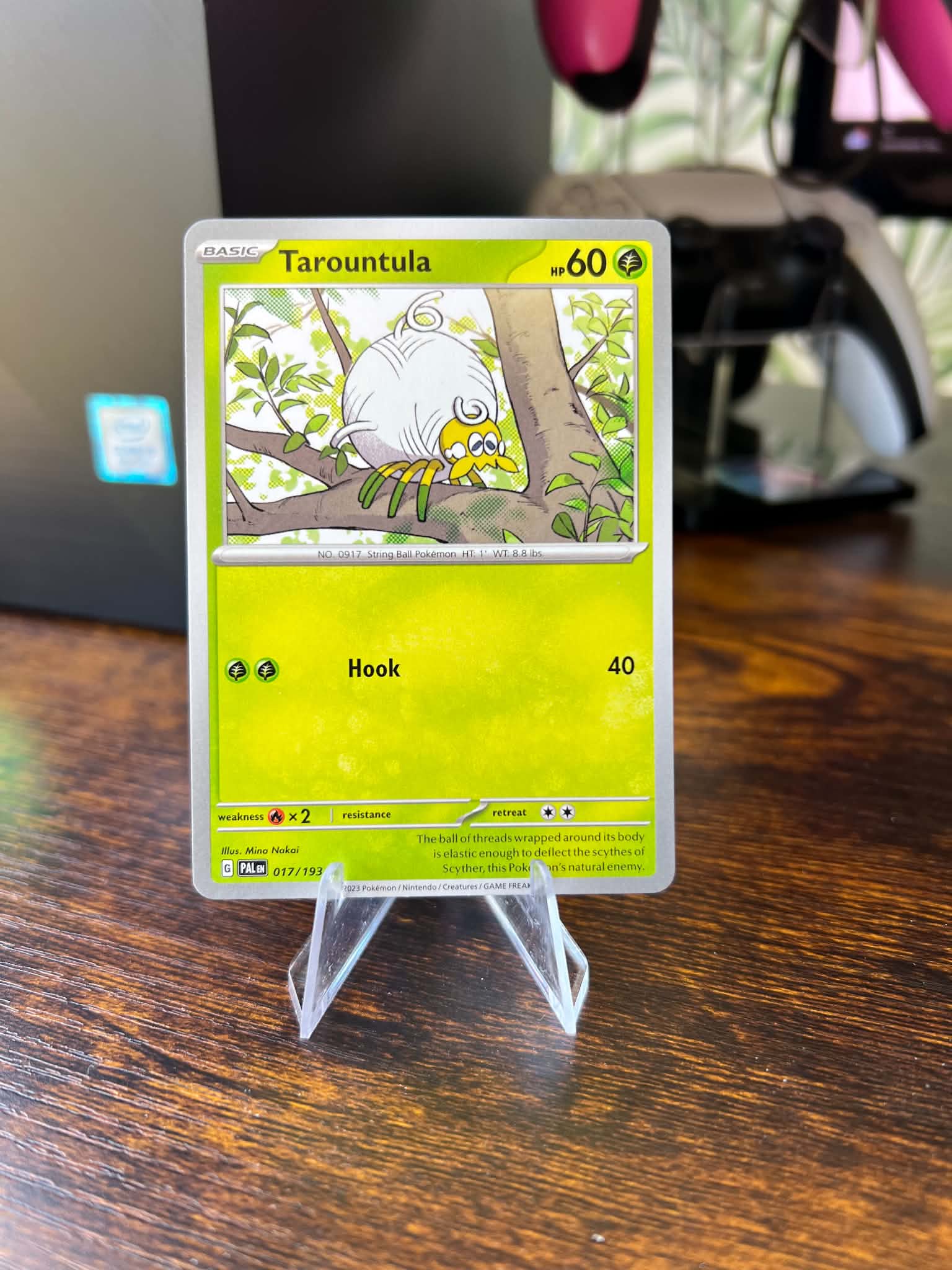 Tarountula