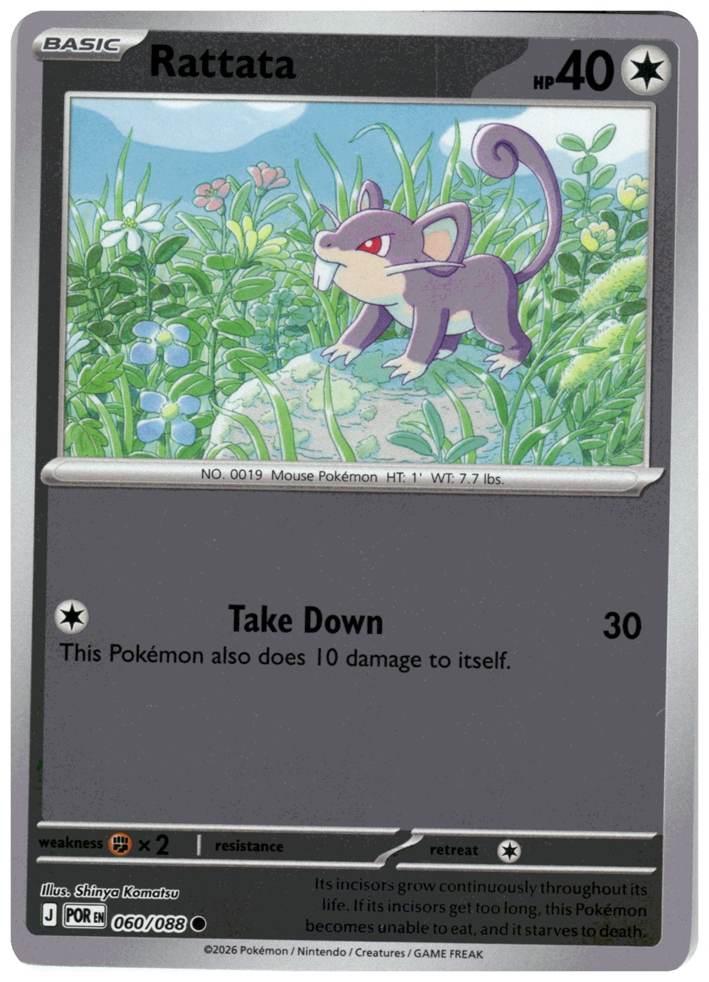 Rattata
