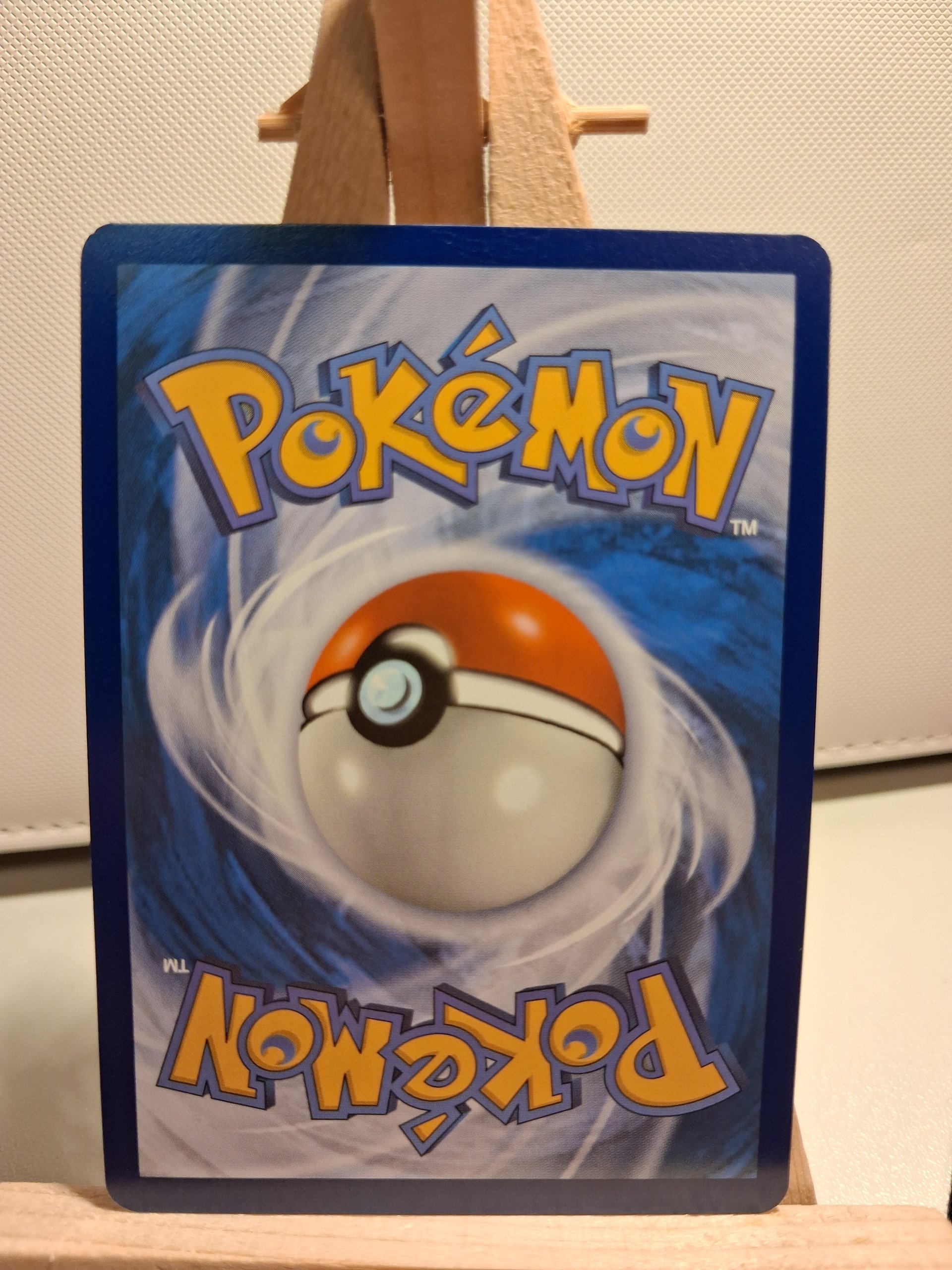 Swinub foto 2