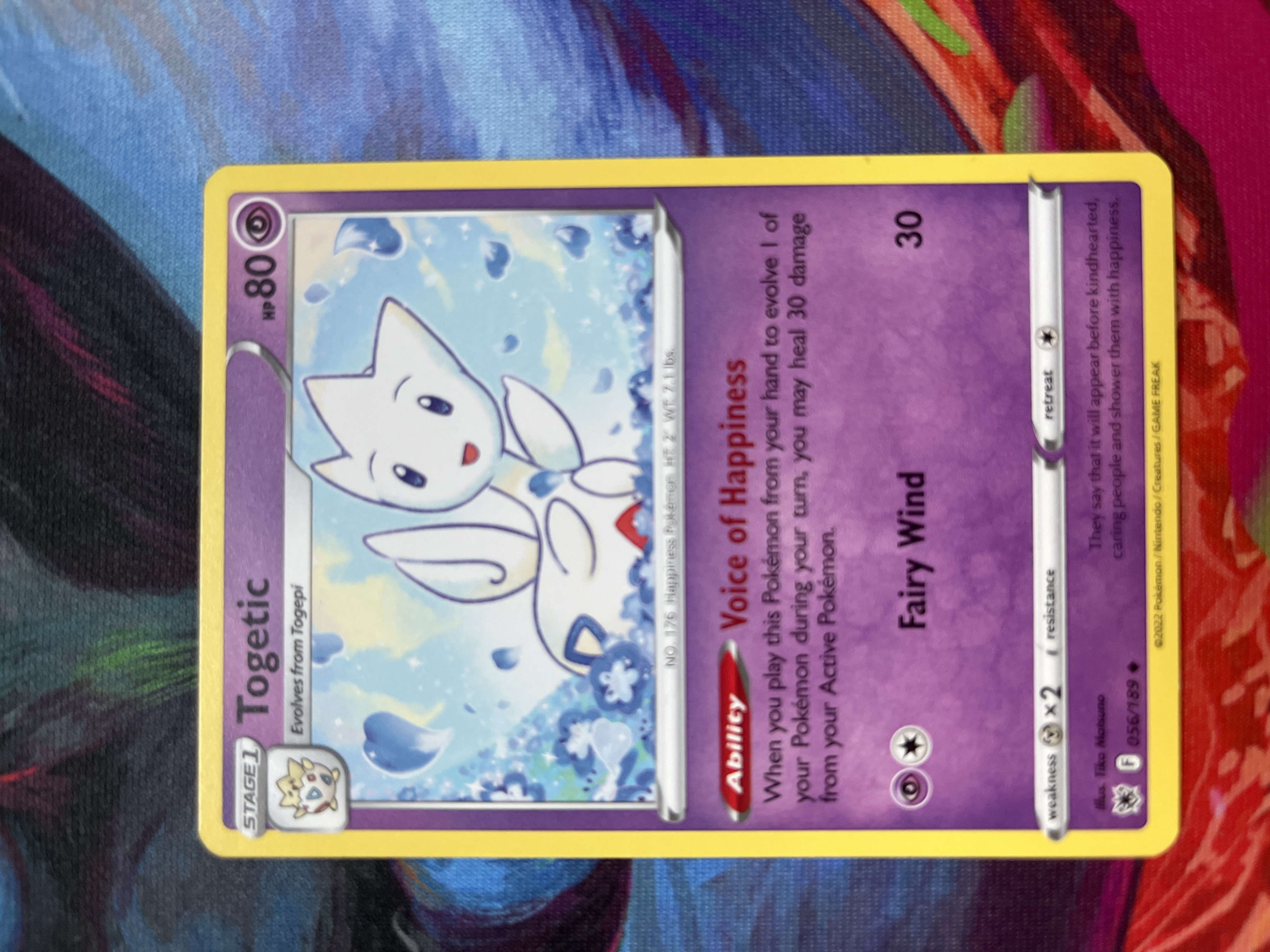 Togetic foto 1