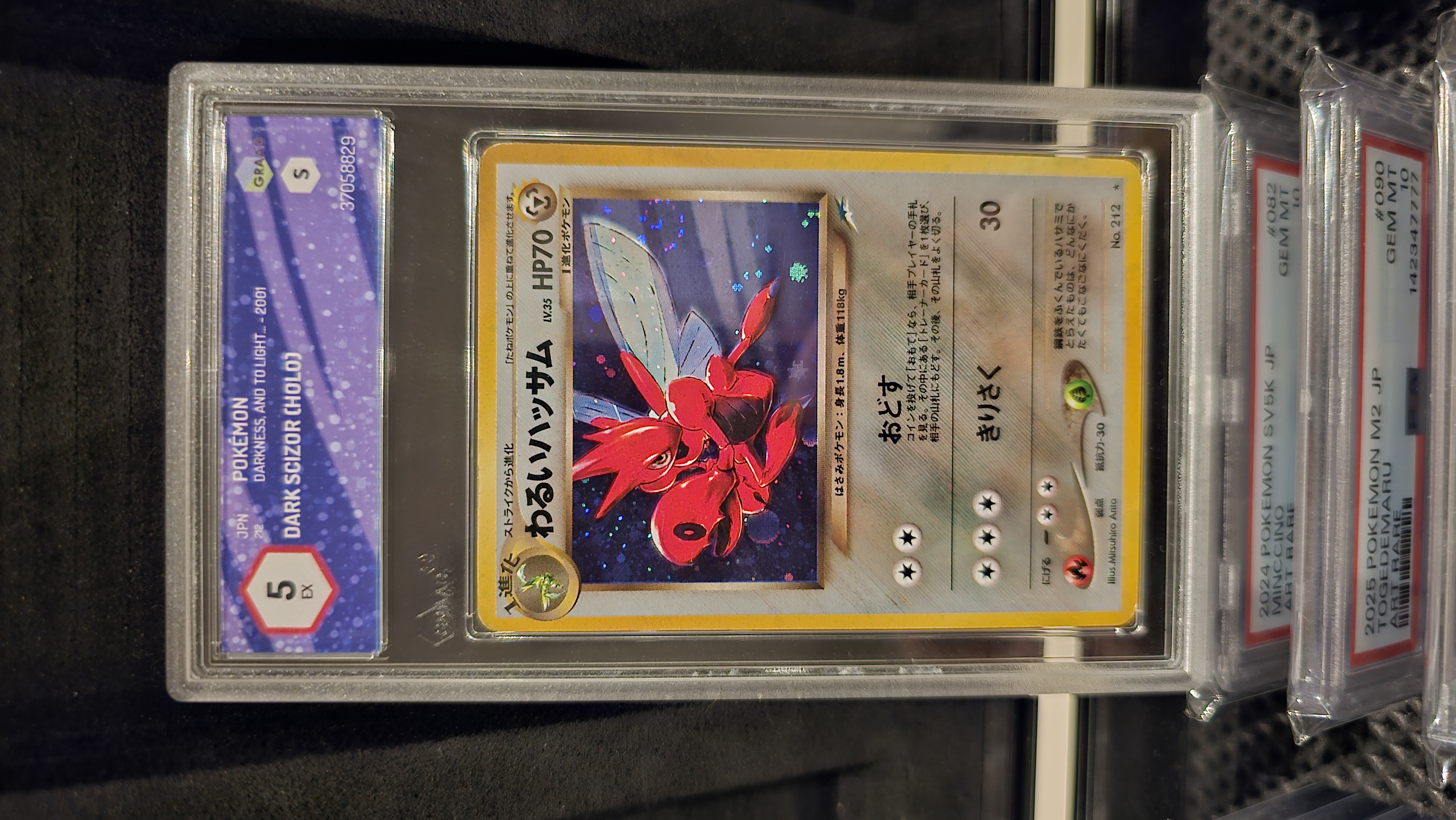Dark Scizor