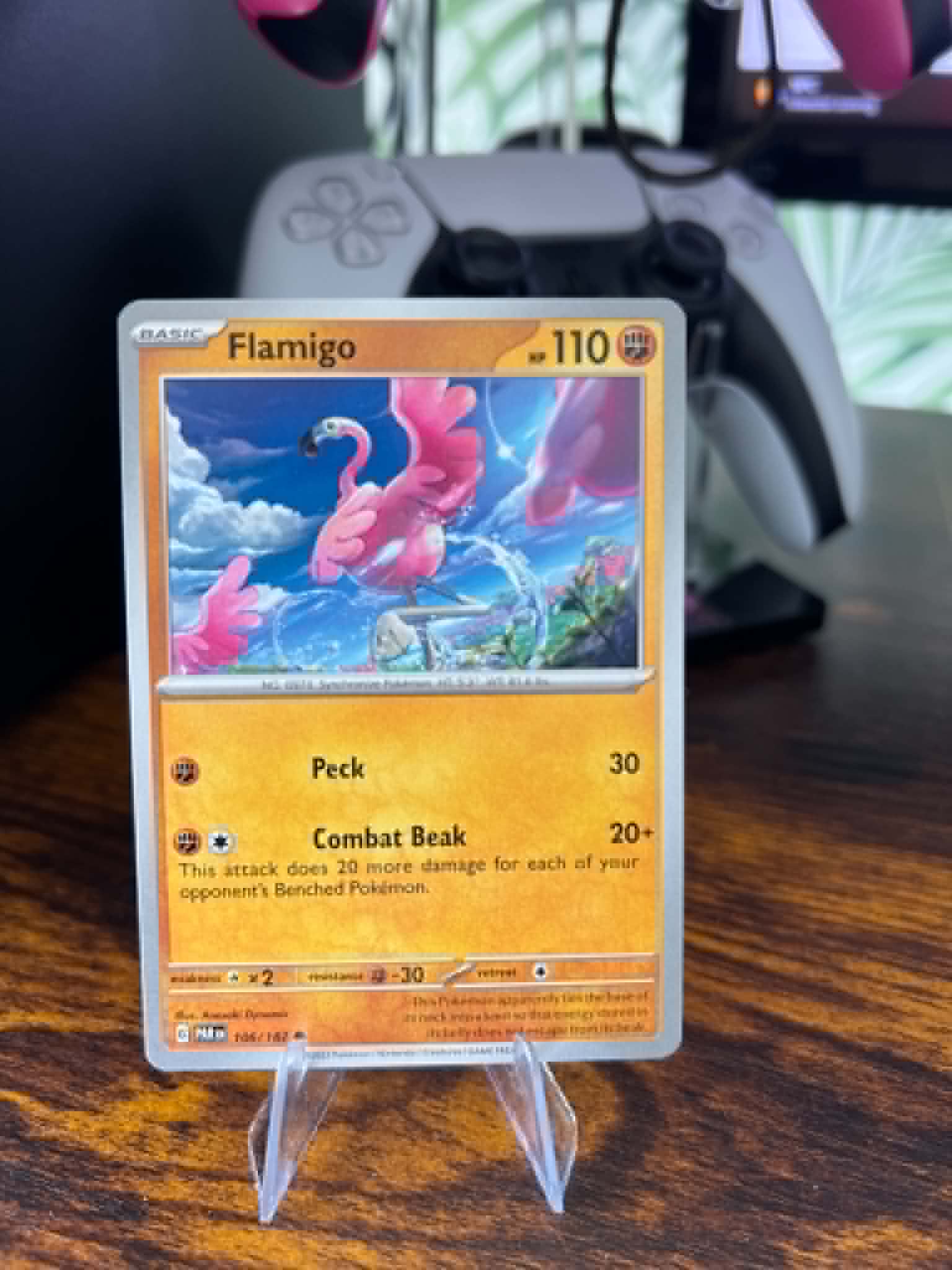 Flamigo foto 1