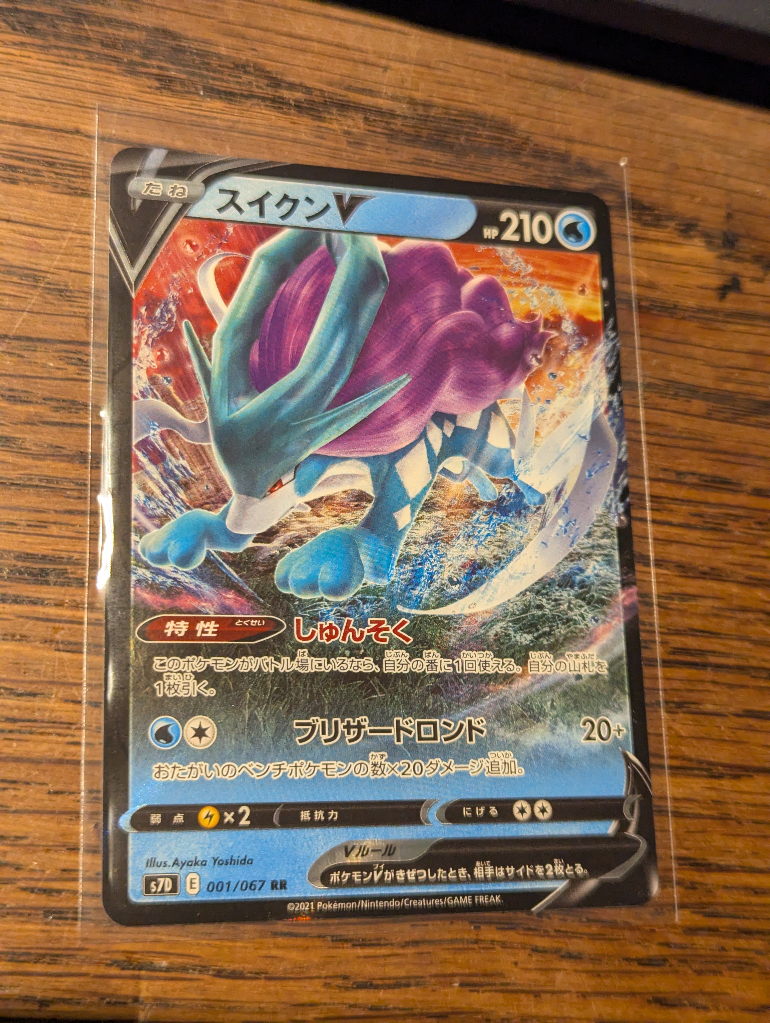 Suicune V foto 1