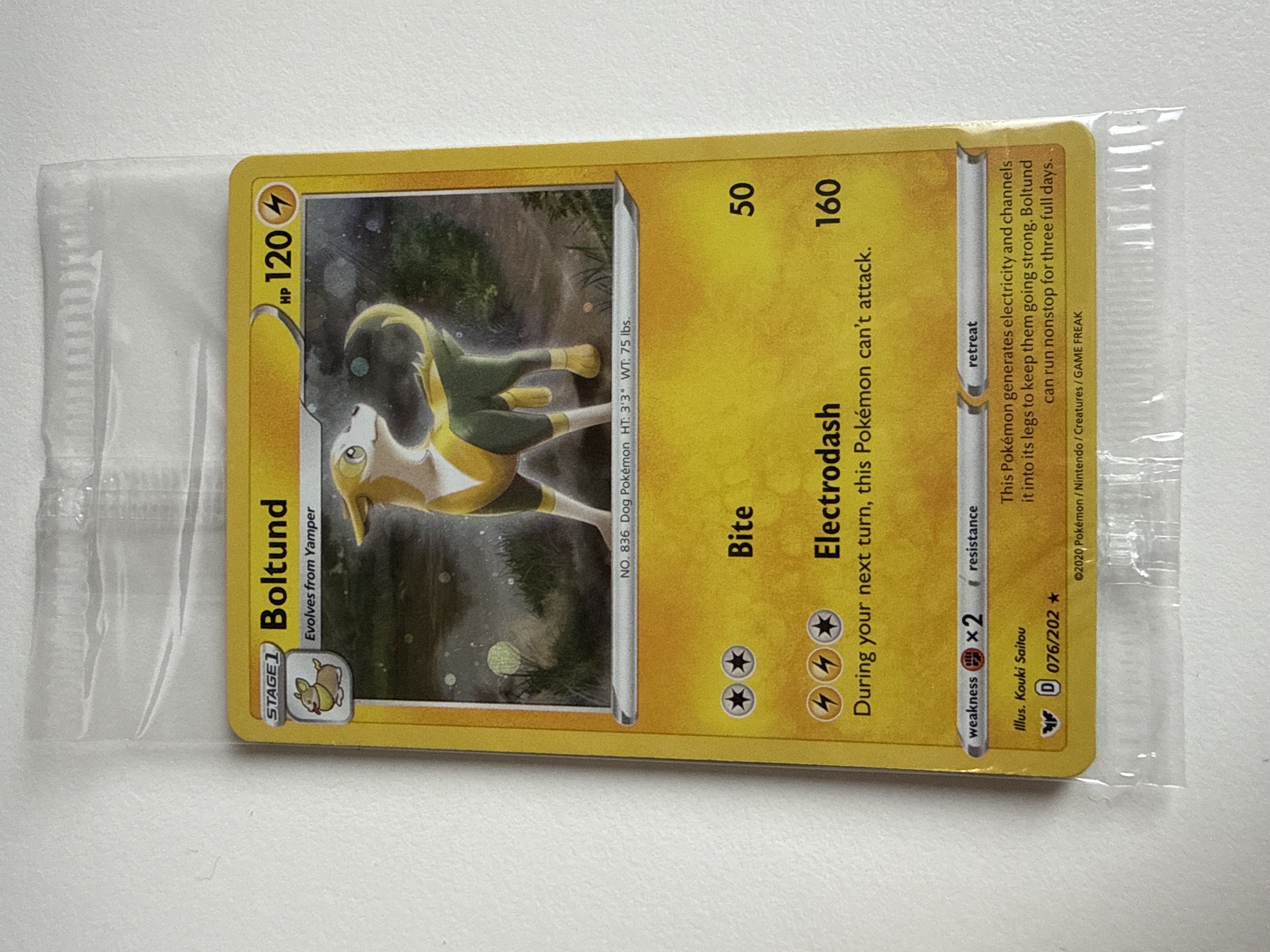Boltund foto 2