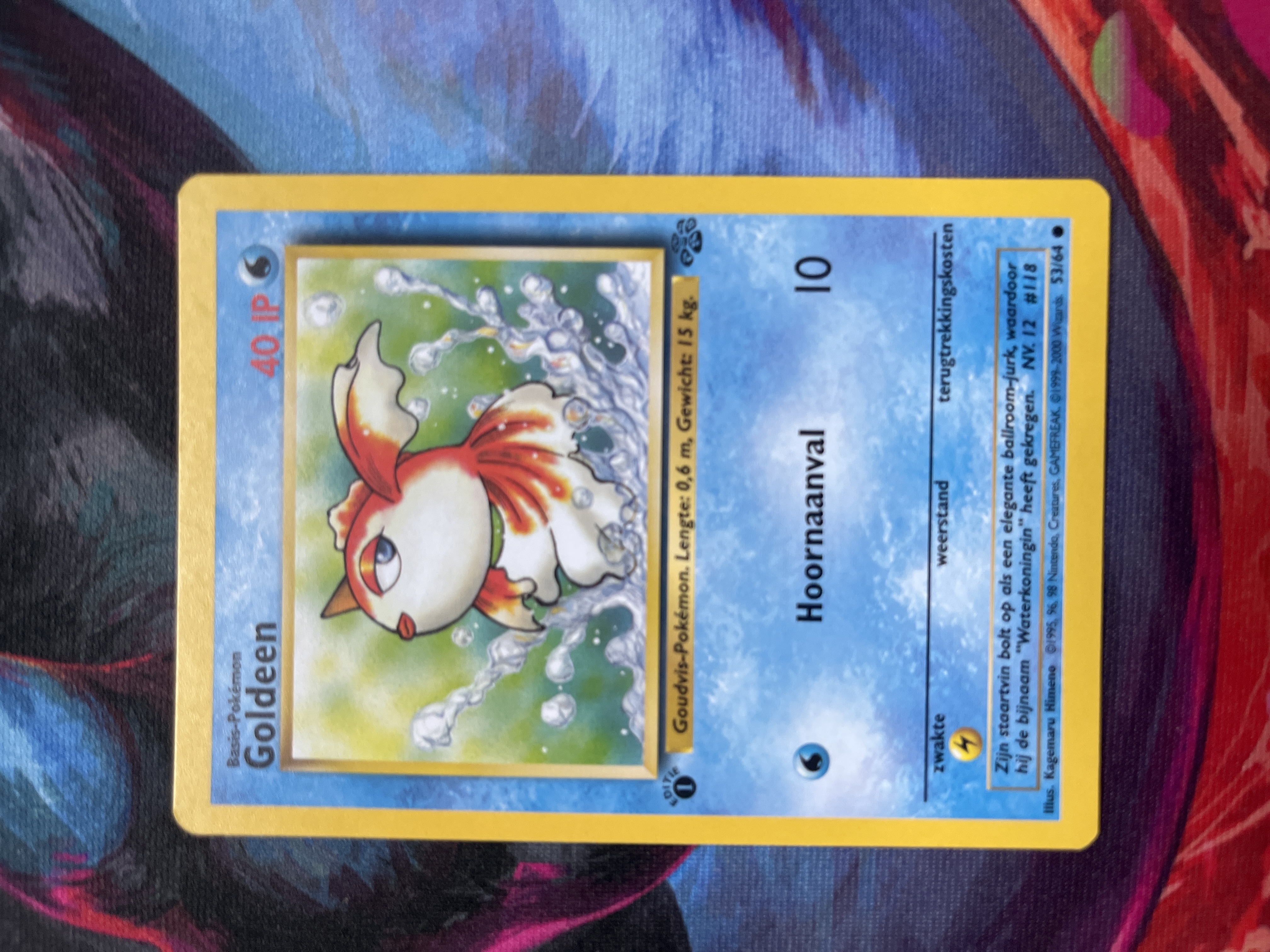 Goldeen foto 1