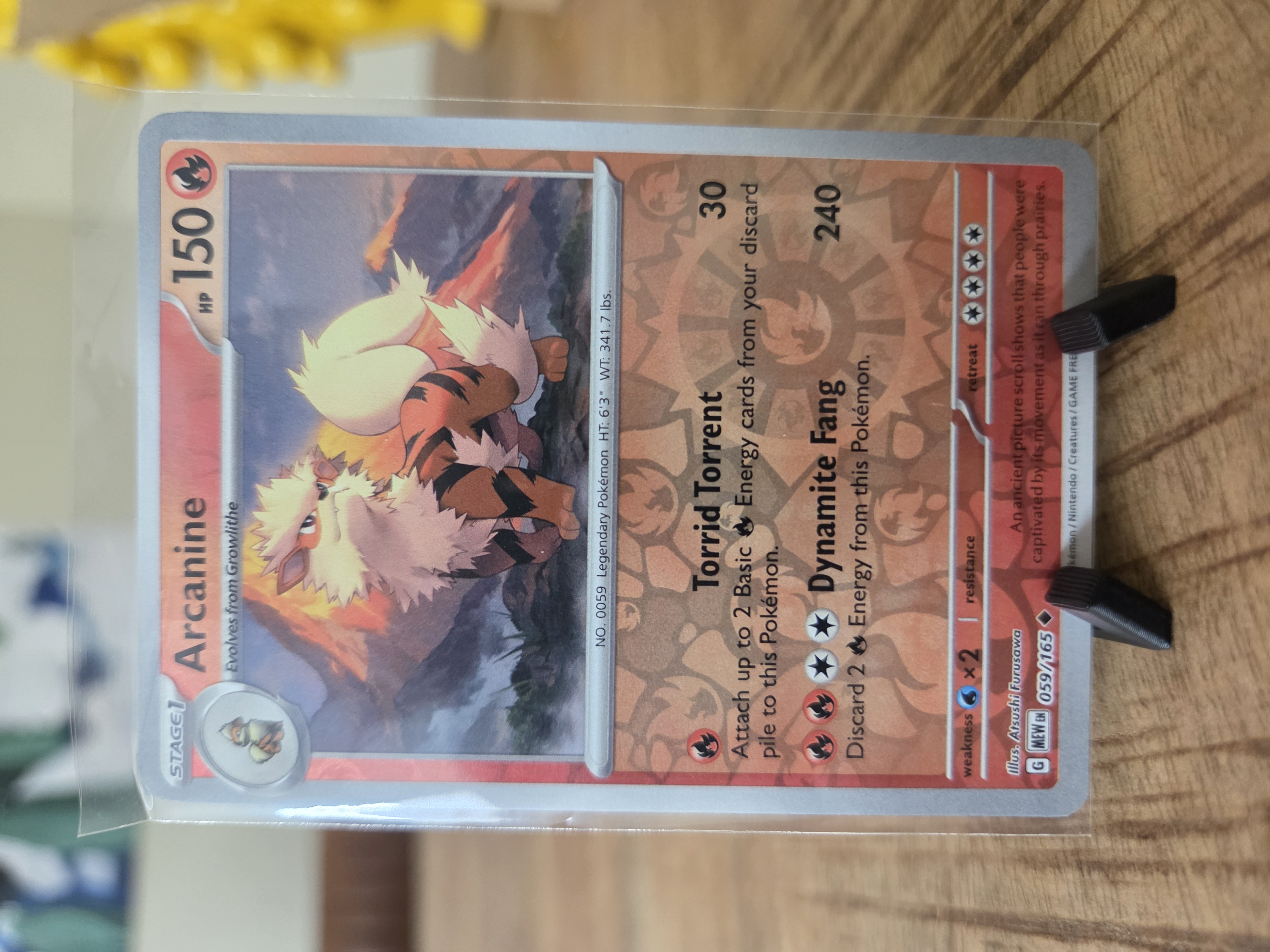 Arcanine foto 1