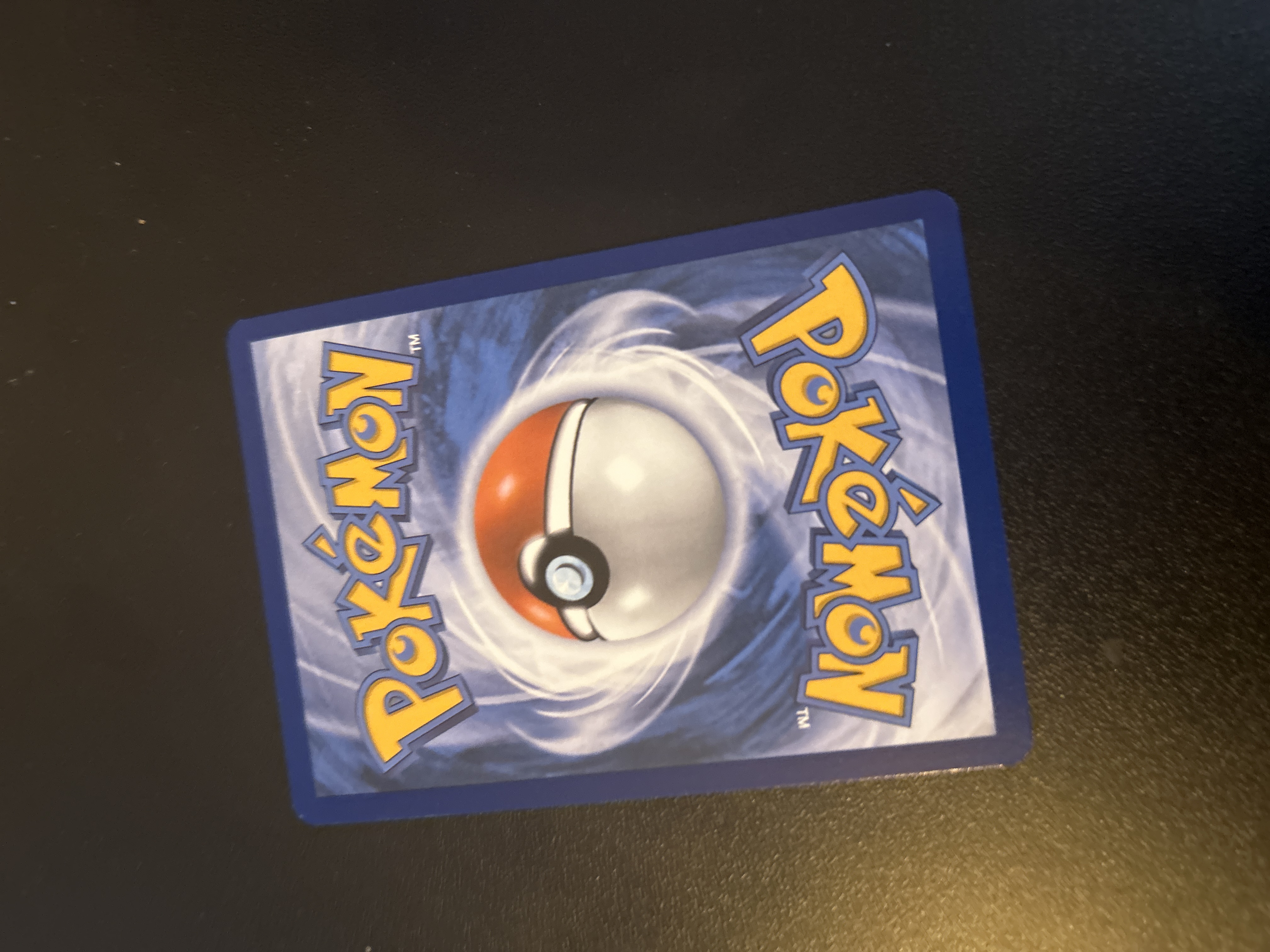 Ponyta foto 2