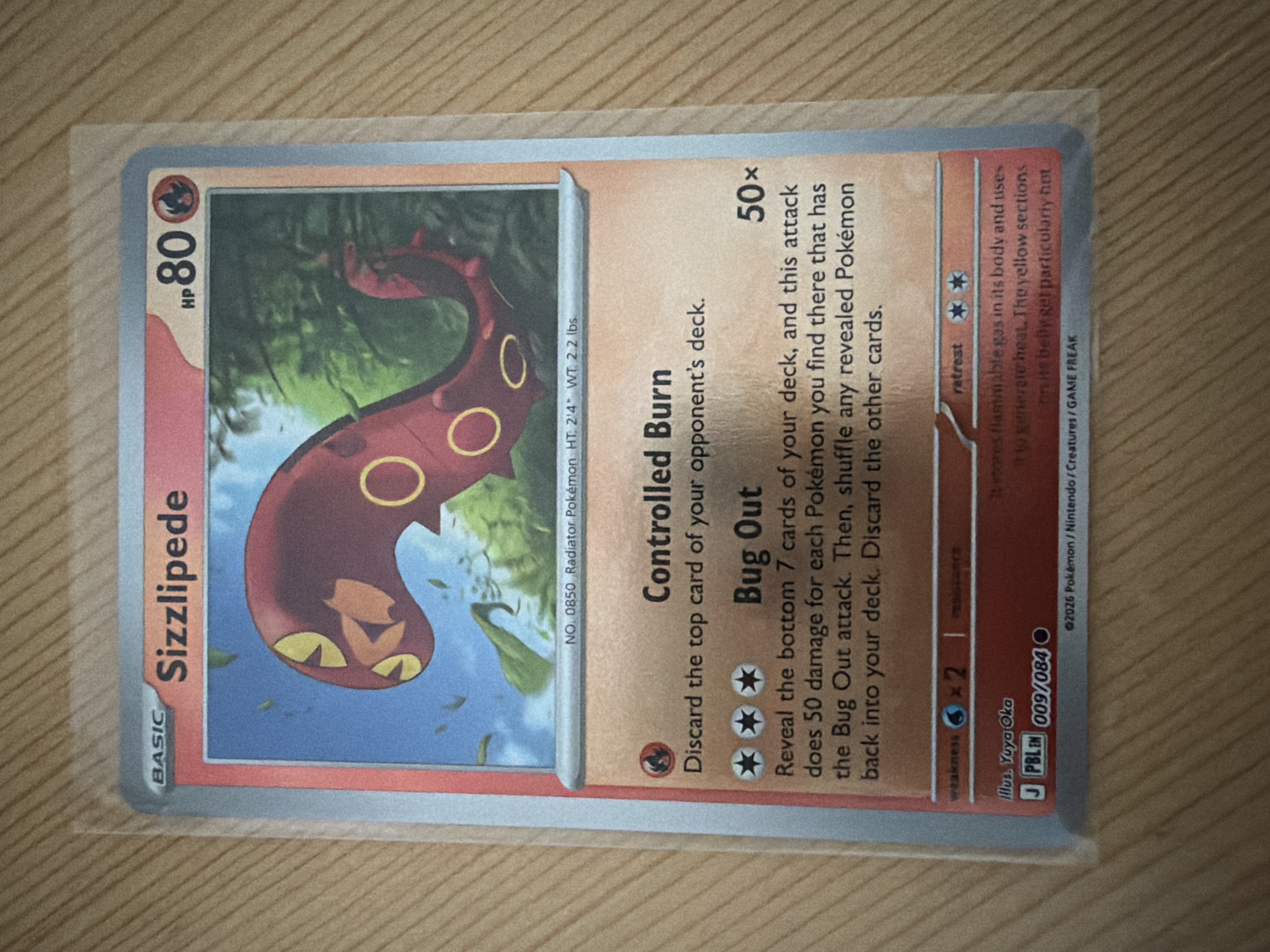 Sizzlipede foto 1