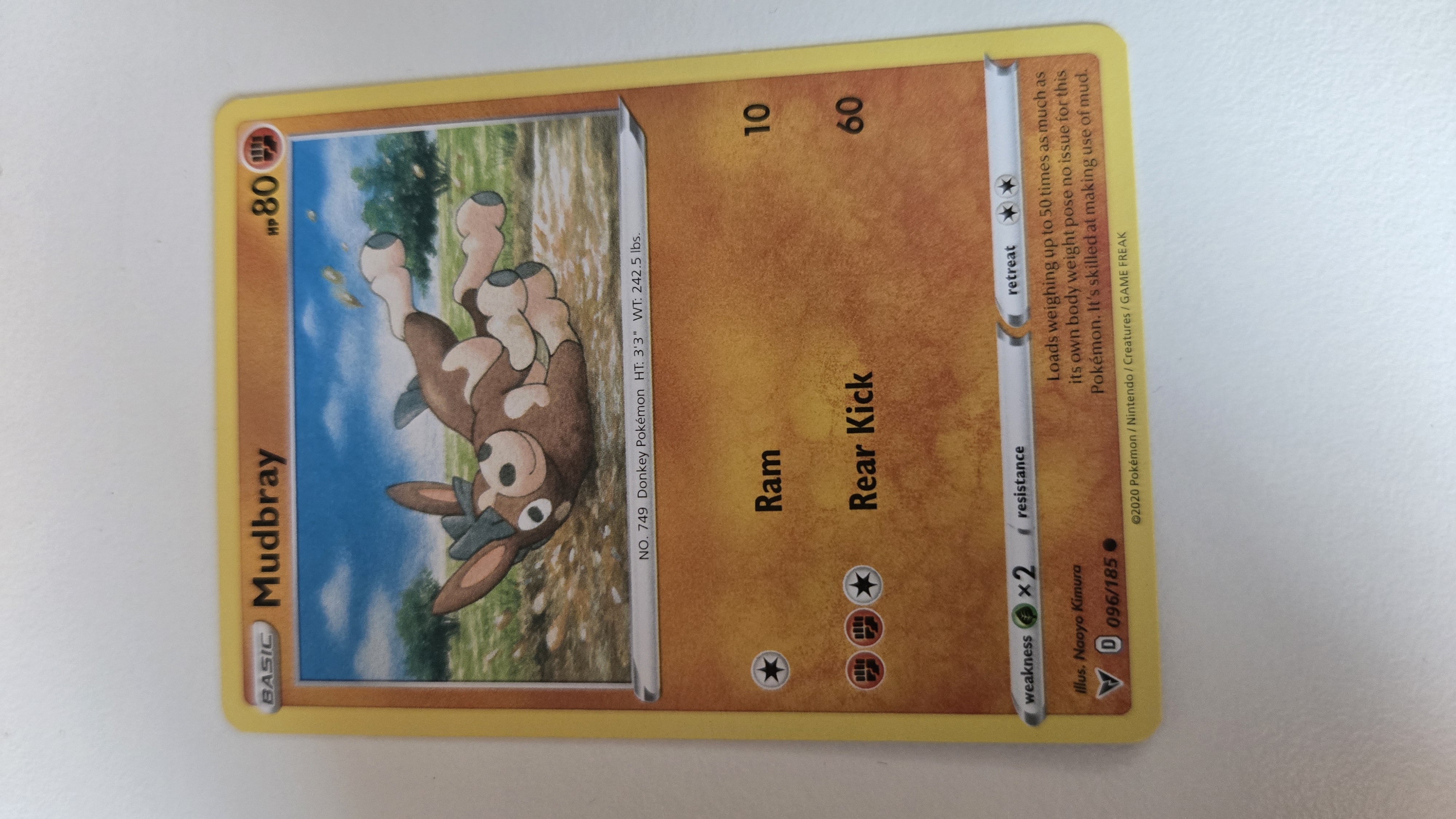 Mudbray