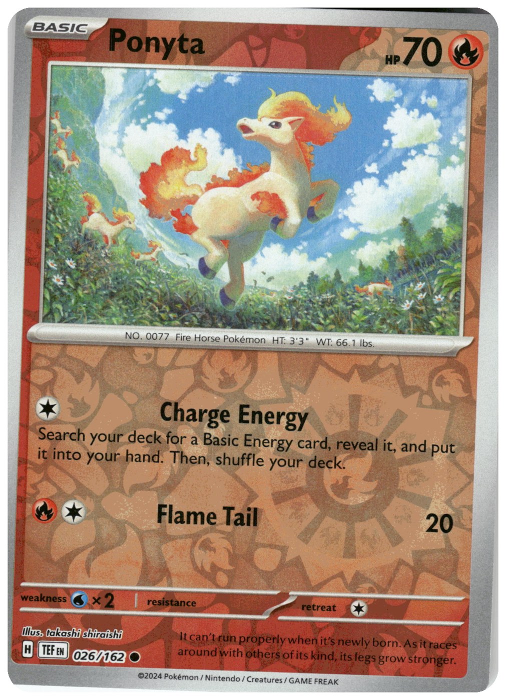 Ponyta foto 1