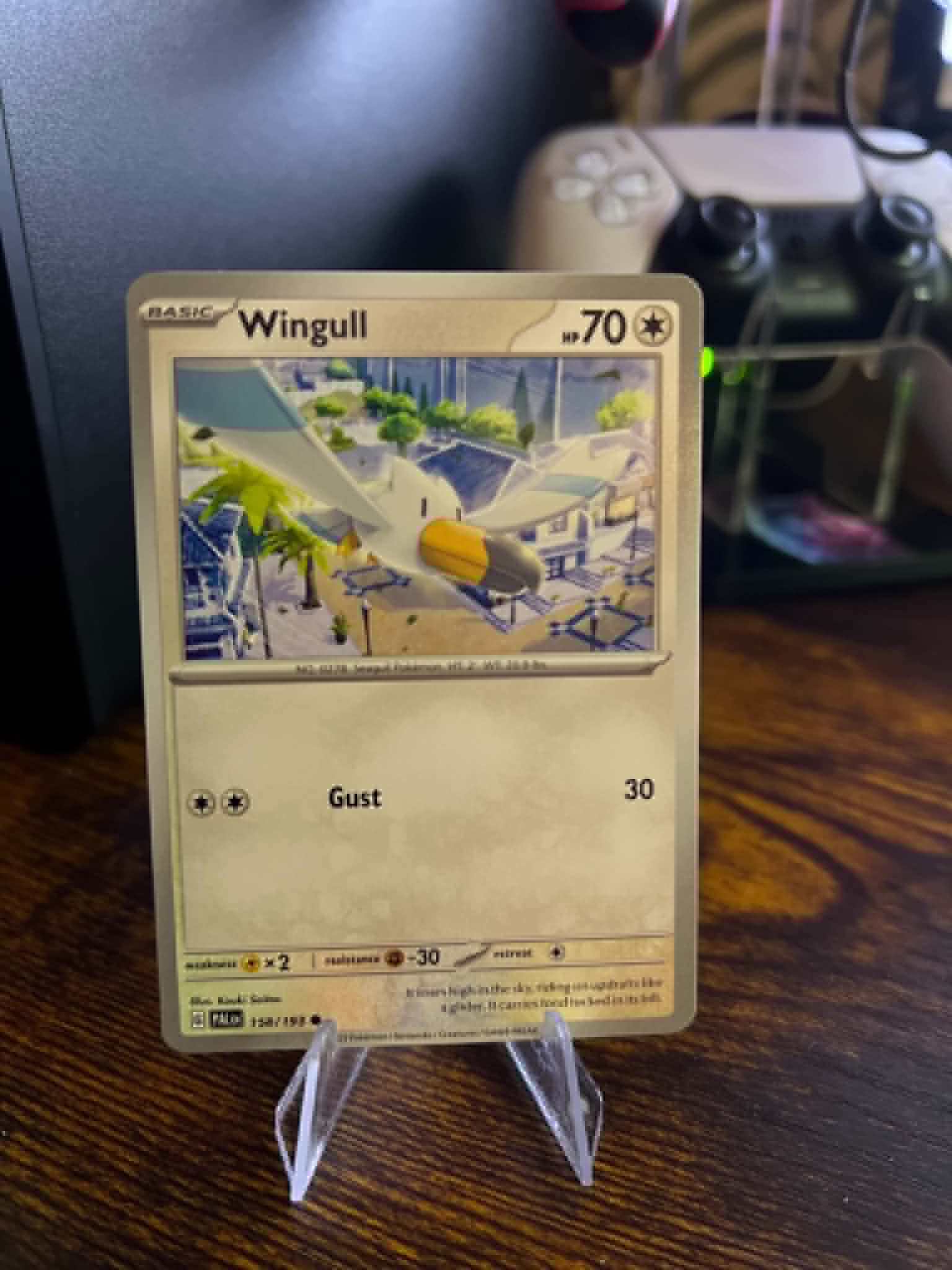 Wingull