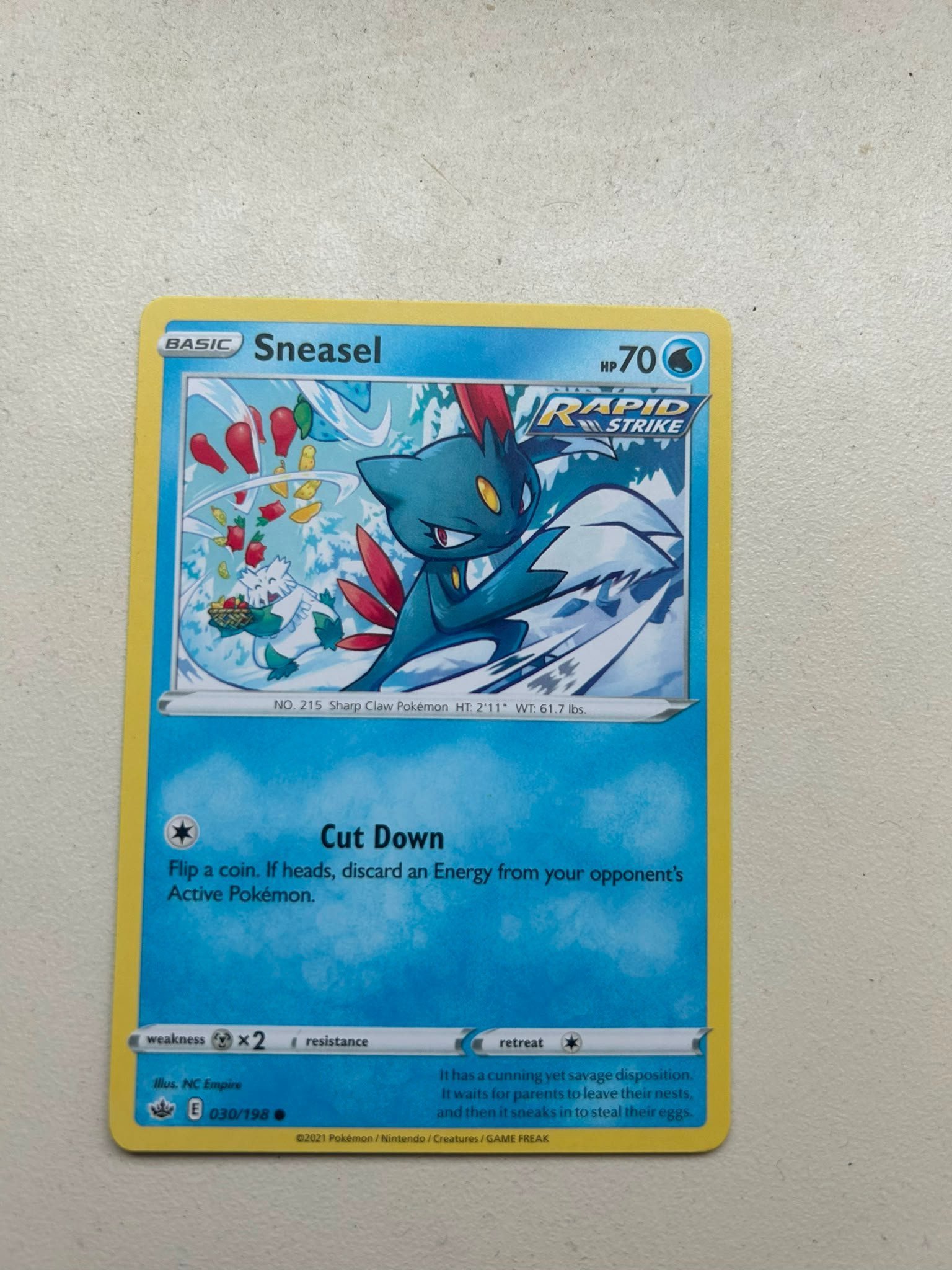 Sneasel foto 1