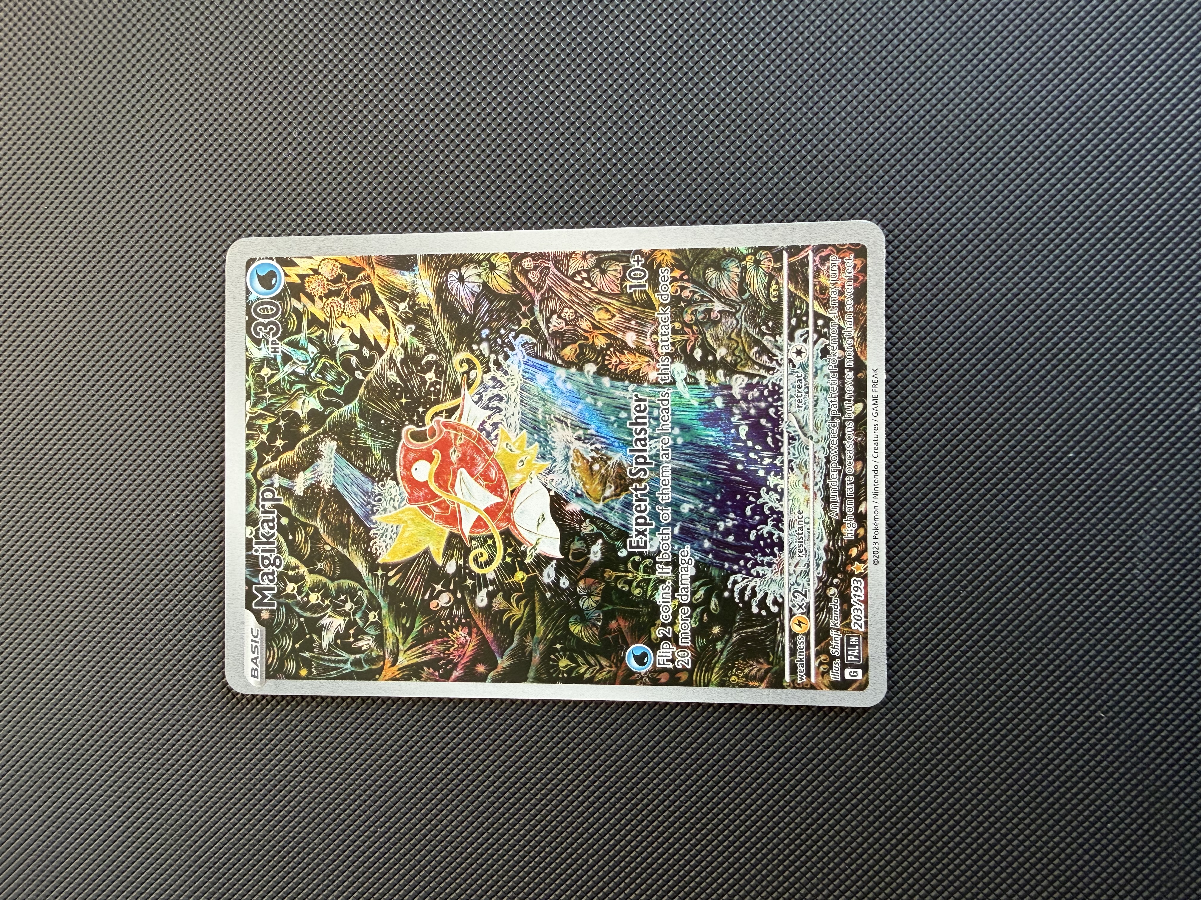 Magikarp foto 2